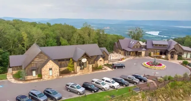 a view of a field with a tree