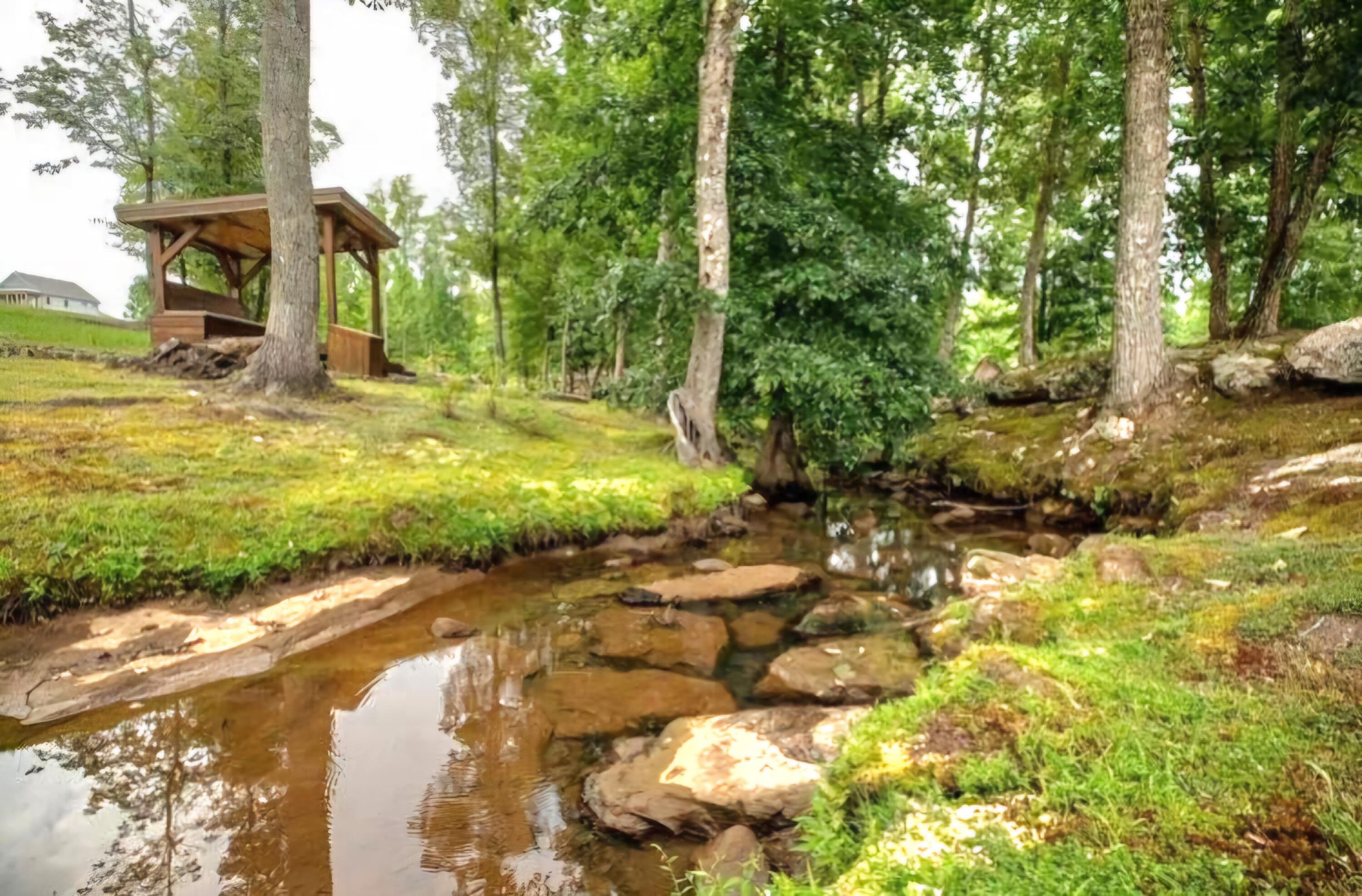 6070 Raulston Falls Drive Jasper, TN 37347 - Photo 22 of 28 a view of a yard with plants and large trees