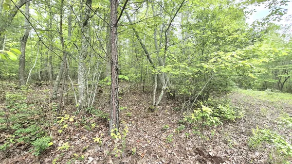 $180,000 | 6070 Raulston Falls Drive, Jasper, TN 37347