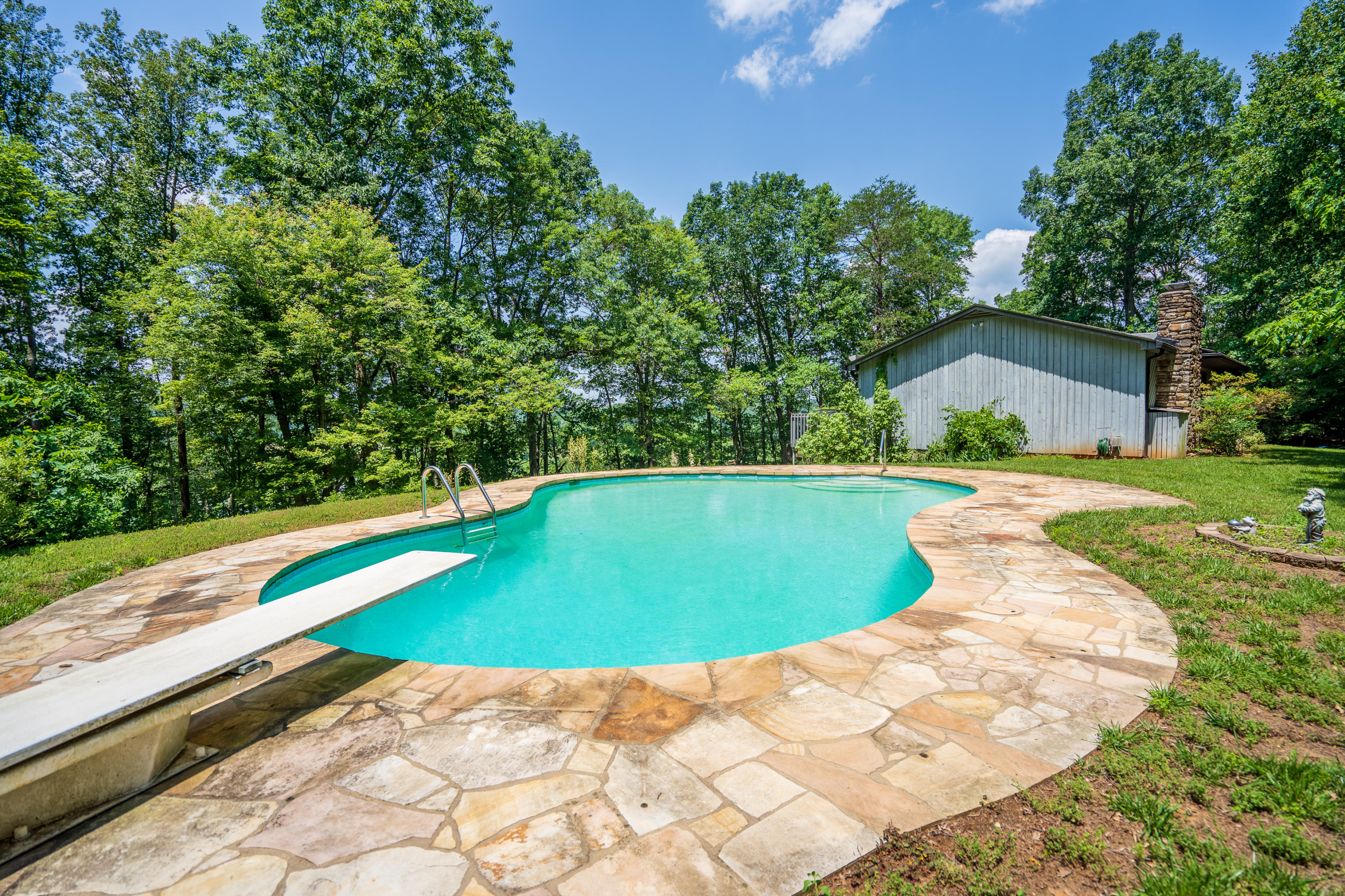 7991 Hardy Road Hardy, VA 24101 - Photo 2 of 30 _DSC0806-HDR