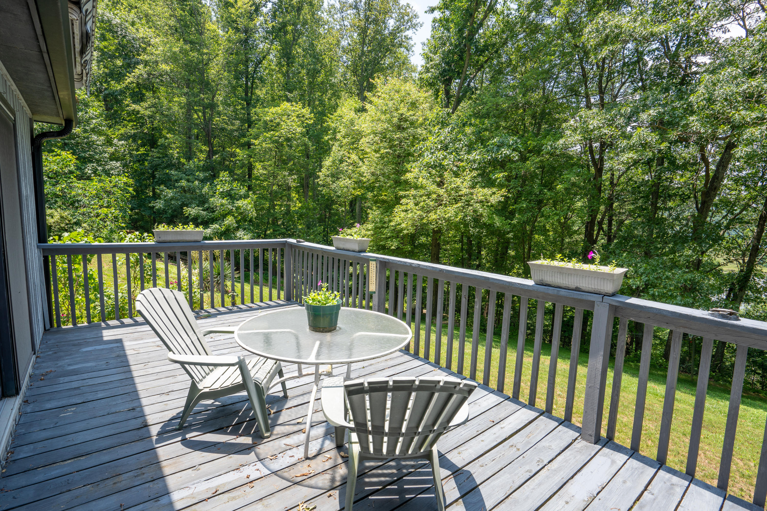 7991 Hardy Road Hardy, VA 24101 - Photo 15 of 30 _DSC0859