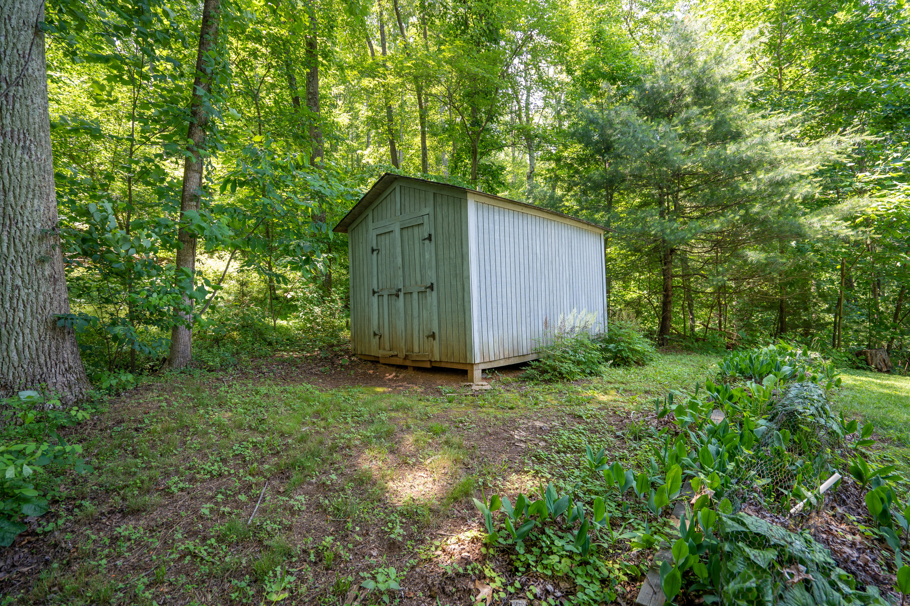 7991 Hardy Road Hardy, VA 24101 - Photo 30 of 30 _DSC0811