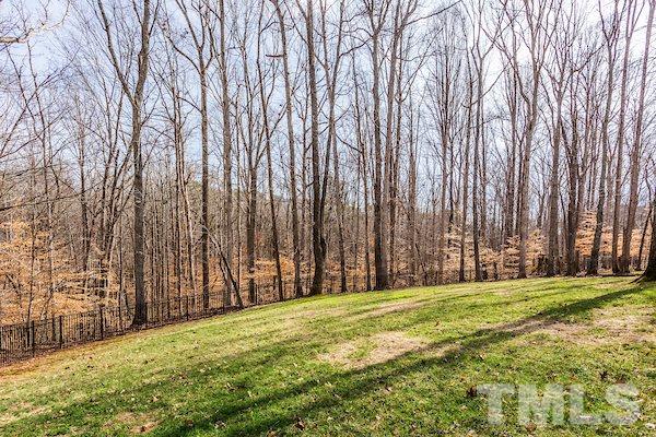 5236 Indigo Moon Way Raleigh, NC 27613 - Photo 25 of 25