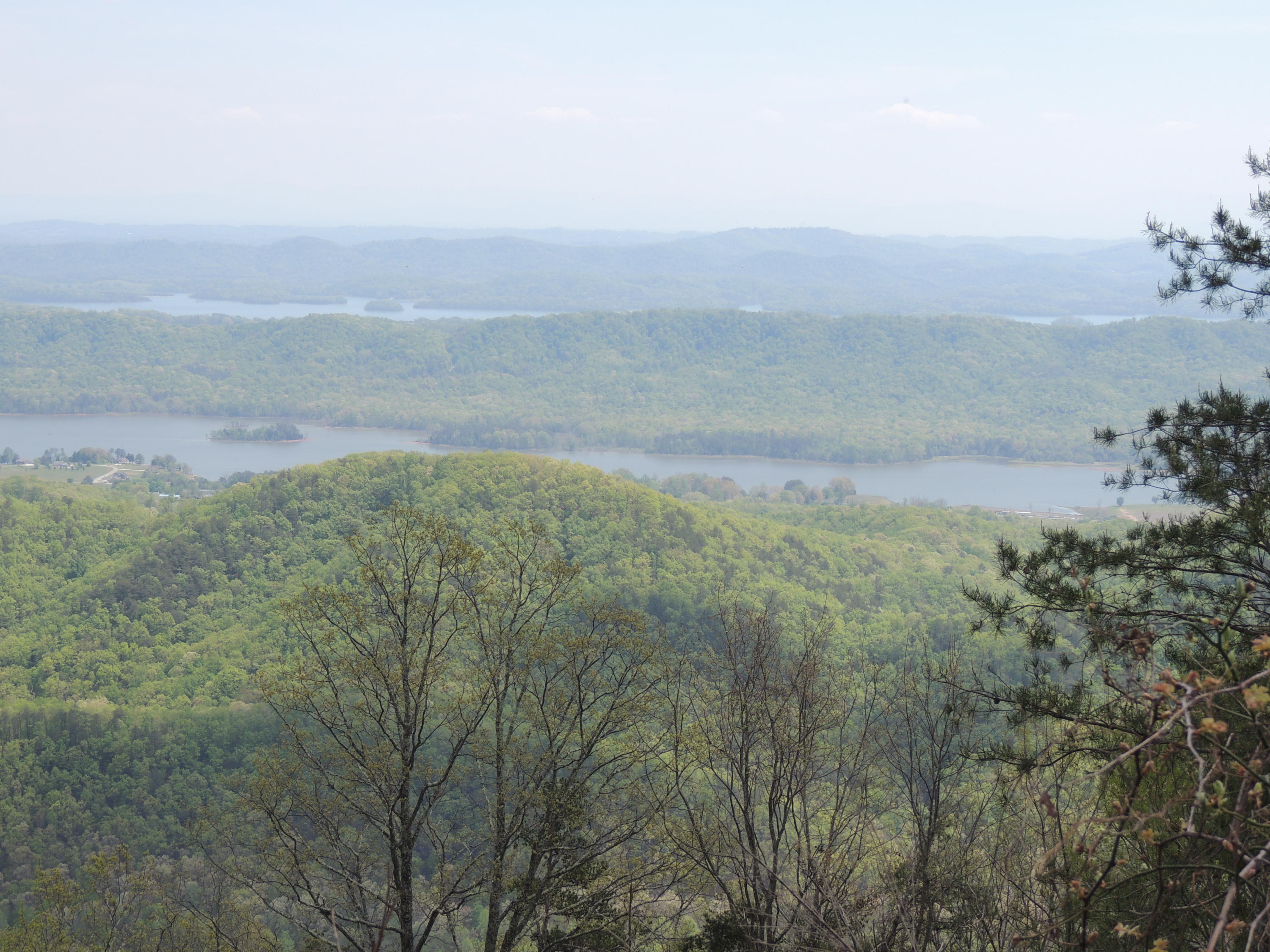 Mountain Loop Road Bean Station, TN 37708 - Photo 1 of 6 DSCN7920