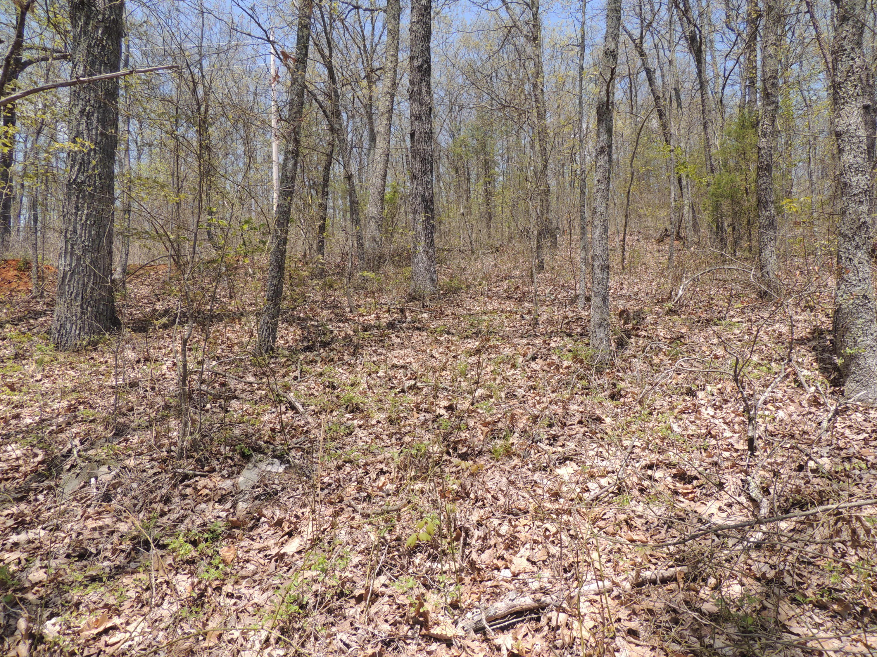 Mountain Loop Road Bean Station, TN 37708 - Photo 5 of 6 DSCN7874