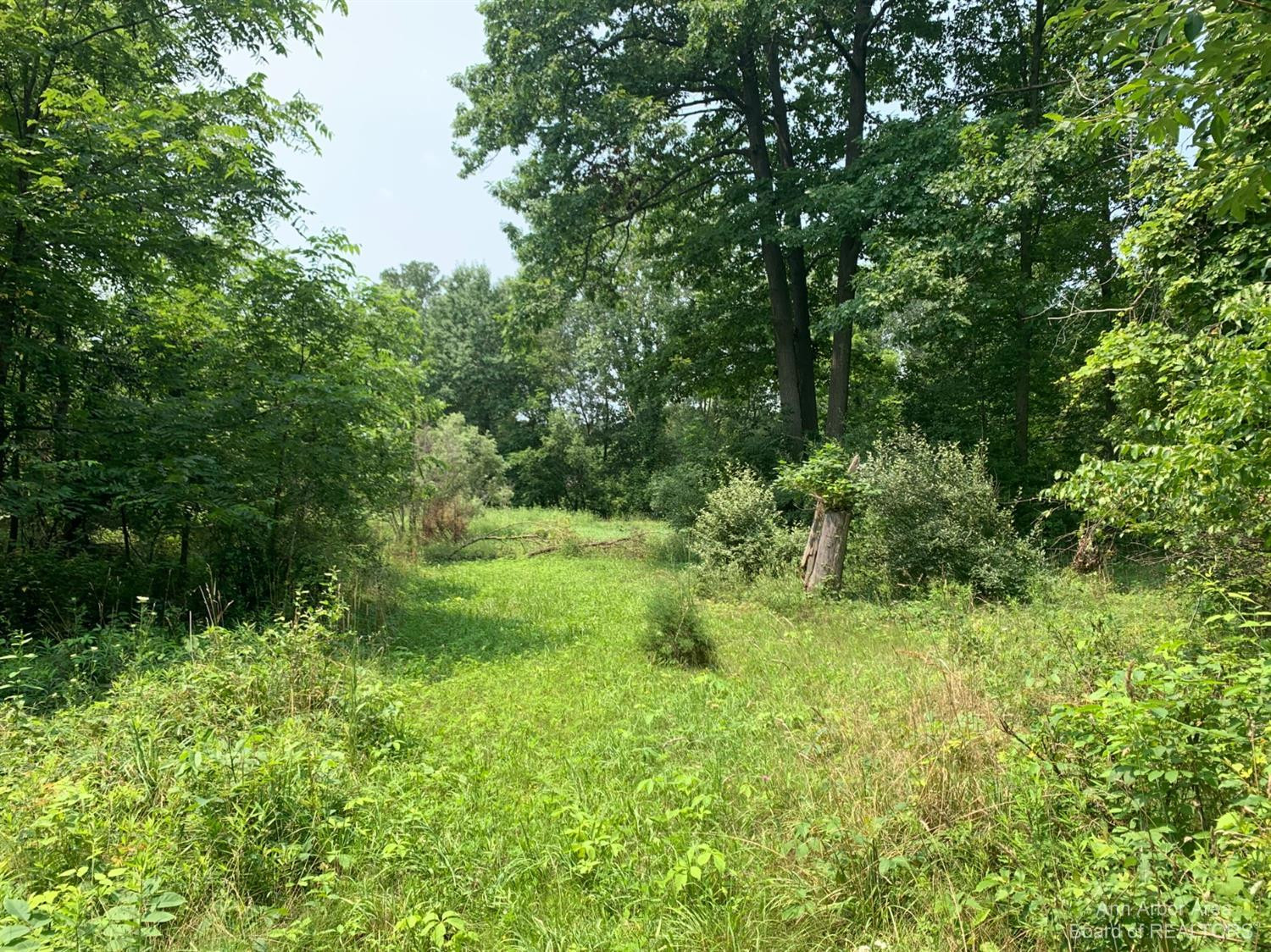17000 Junction Road Addison, MI 49220 - Photo 2 of 12 Photo 2