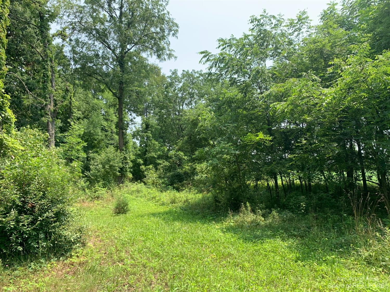 17000 Junction Road Addison, MI 49220 - Photo 3 of 12 Photo 3