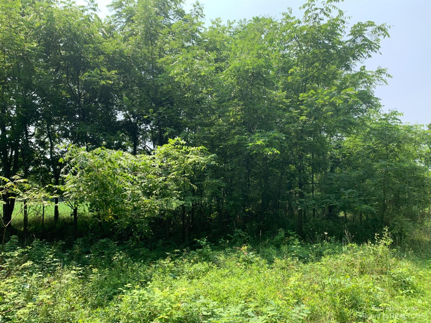 17000 Junction Road Addison, MI 49220 - Photo 4 of 12 Photo 4