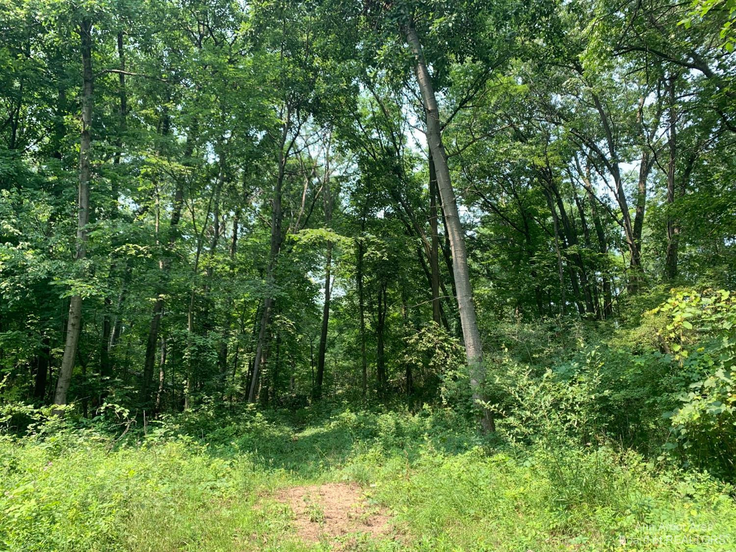 17000 Junction Road Addison, MI 49220 - Photo 5 of 12 Photo 5