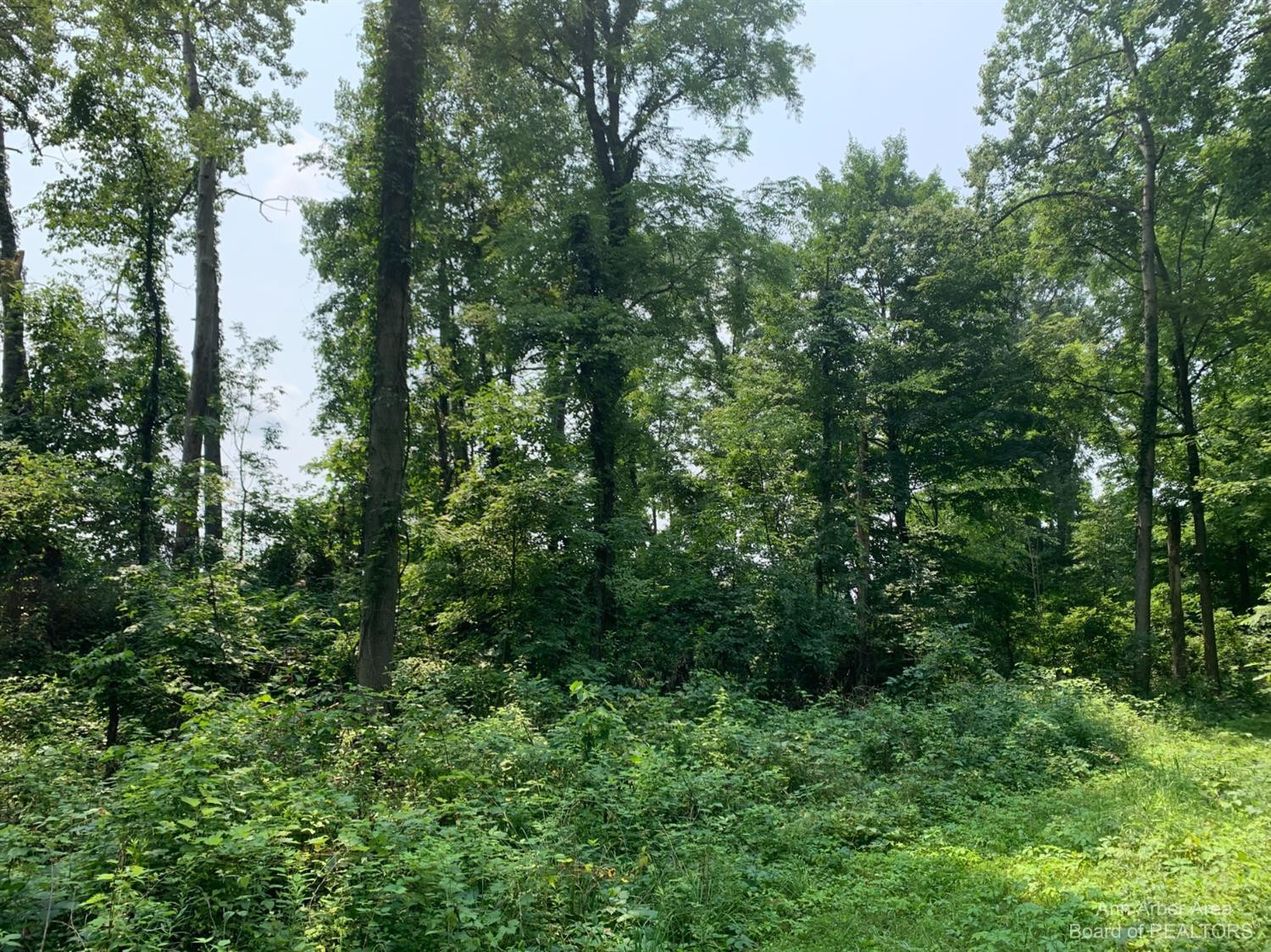 17000 Junction Road Addison, MI 49220 - Photo 6 of 12 Photo 6