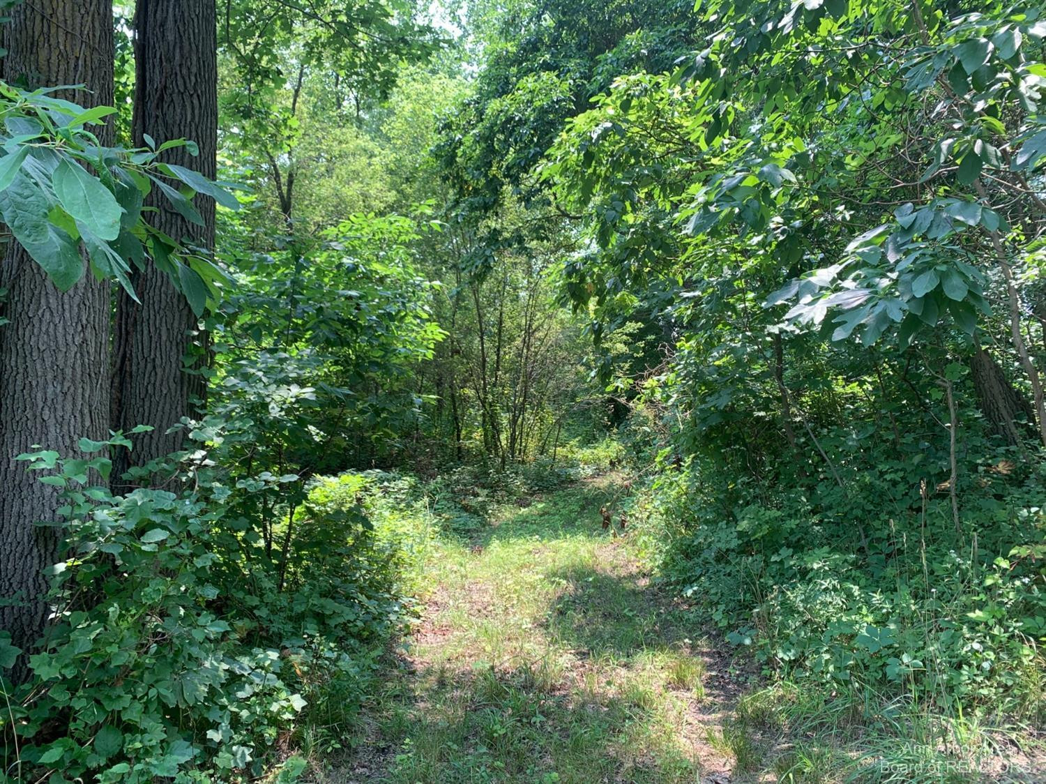 17000 Junction Road Addison, MI 49220 - Photo 7 of 12 Photo 7