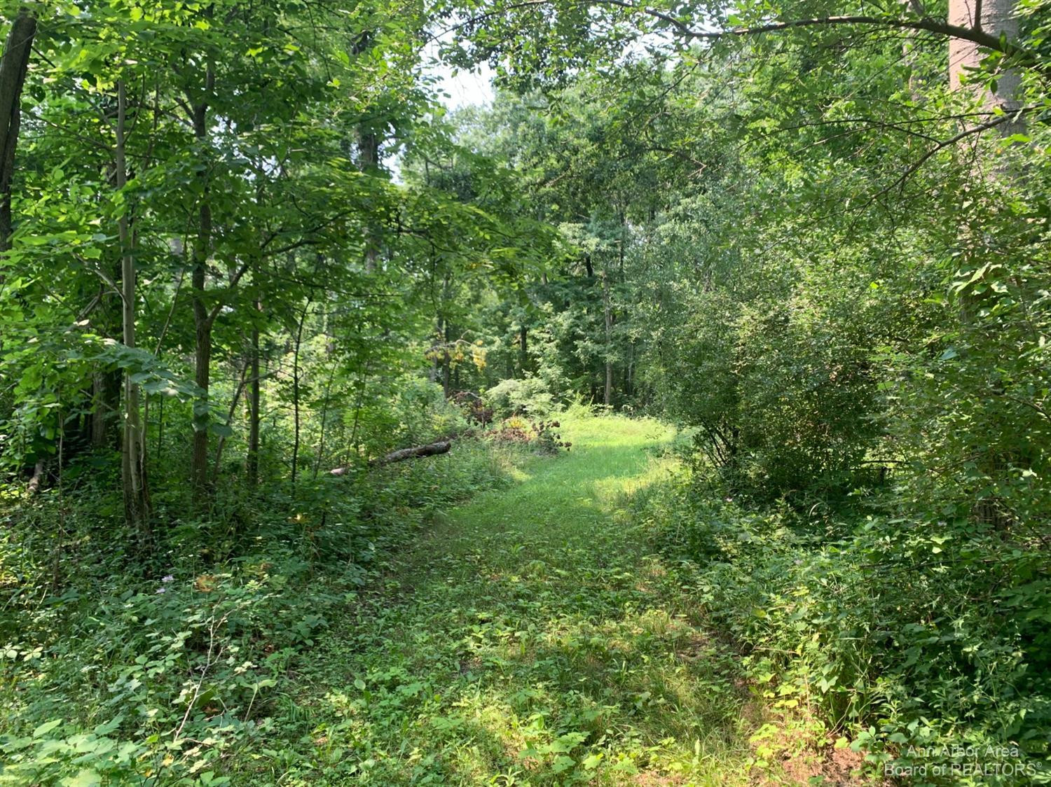 17000 Junction Road Addison, MI 49220 - Photo 8 of 12 Photo 8