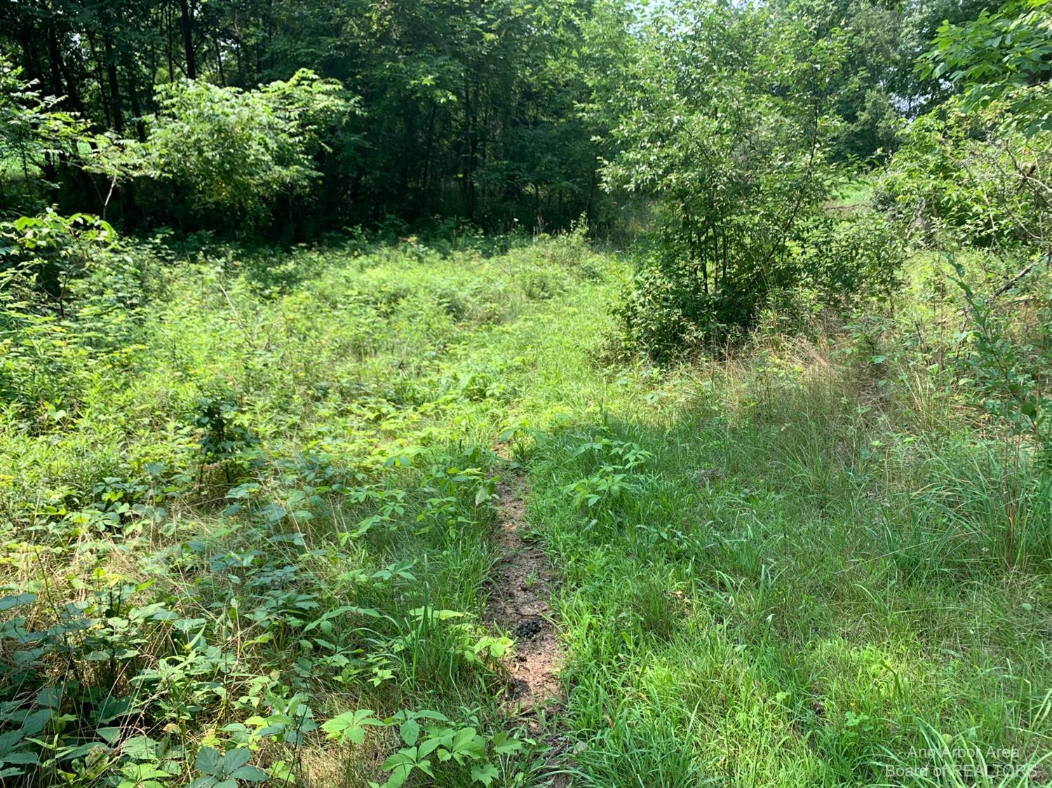 17000 Junction Road Addison, MI 49220 - Photo 10 of 12 Photo 10
