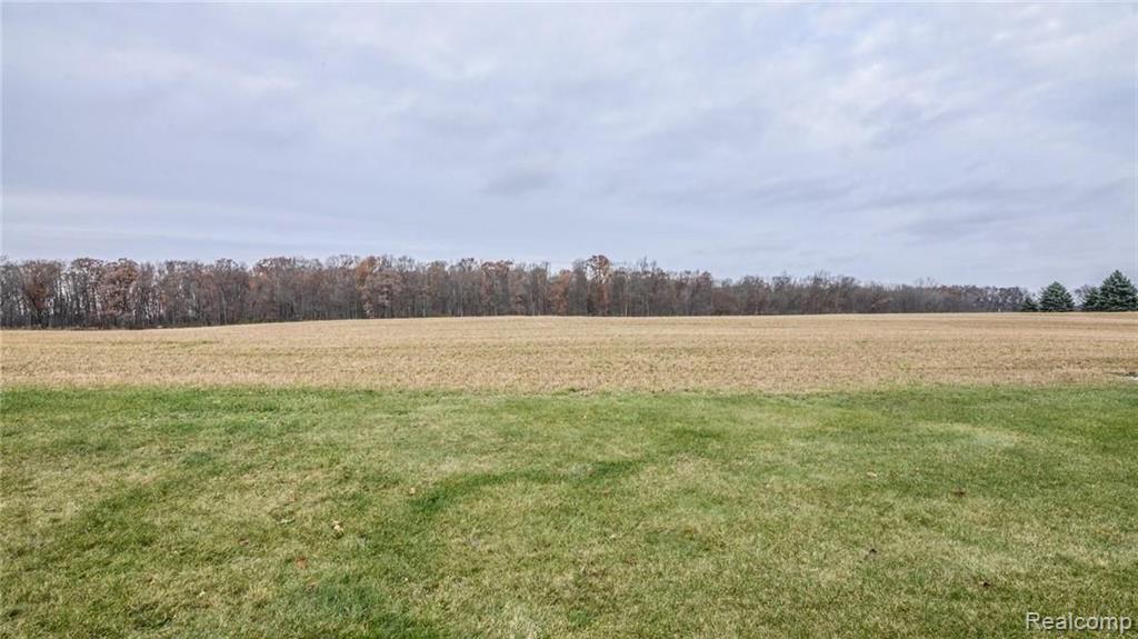 8702 Gross Road Dexter, MI 48130 - Photo 5 of 72