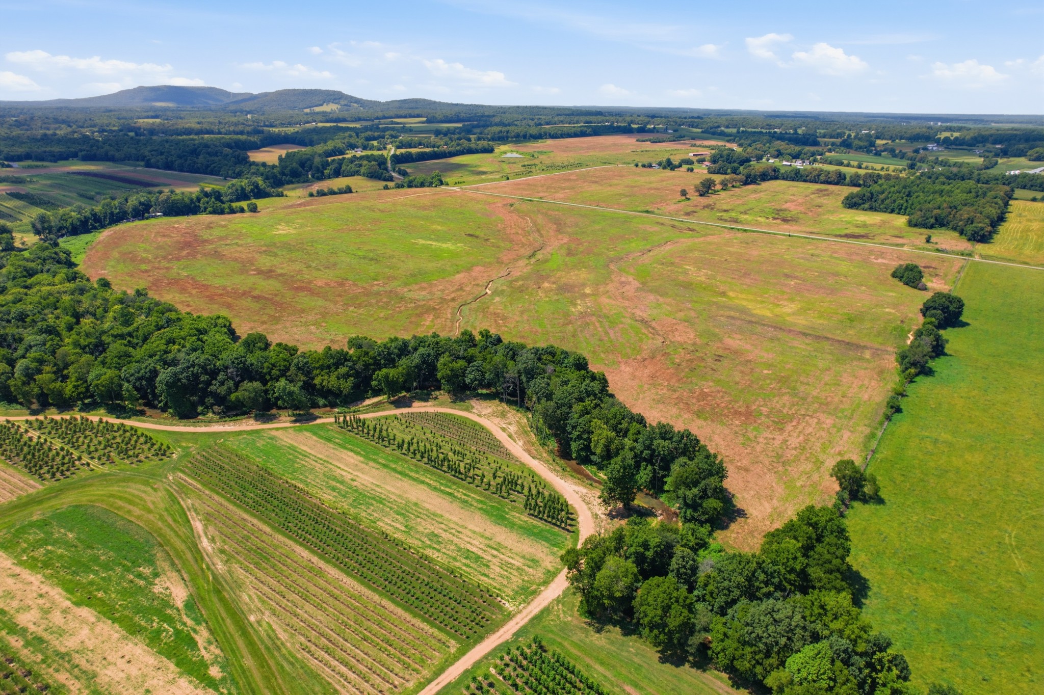 8363 West Green Hill Road Smithville, TN 37166 - Photo 11 of 13