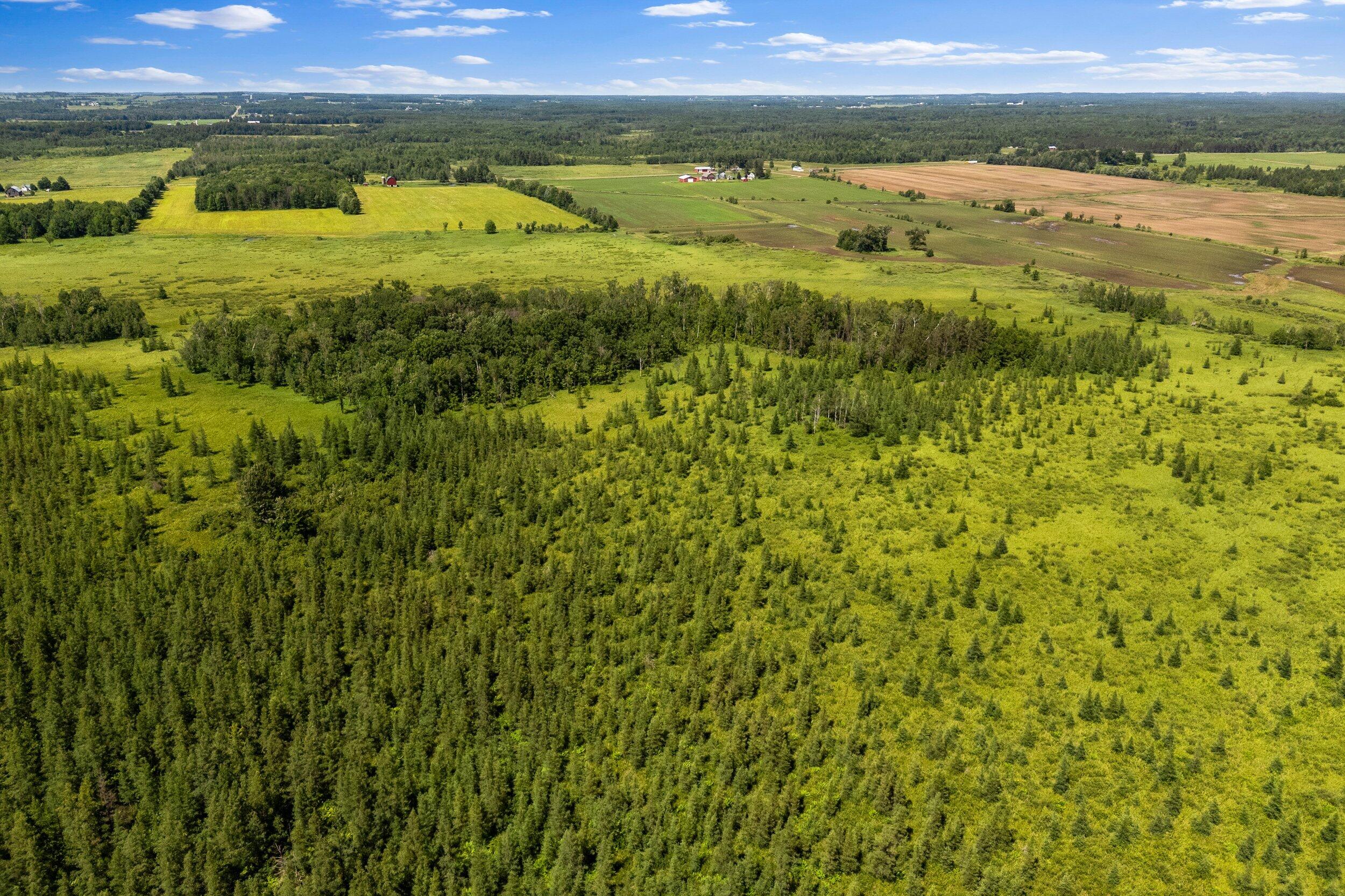 Lt1 Lt1 Robin Avenue Granton, WI 54436 - Photo 11 of 23 Middle Coast-16 (23)