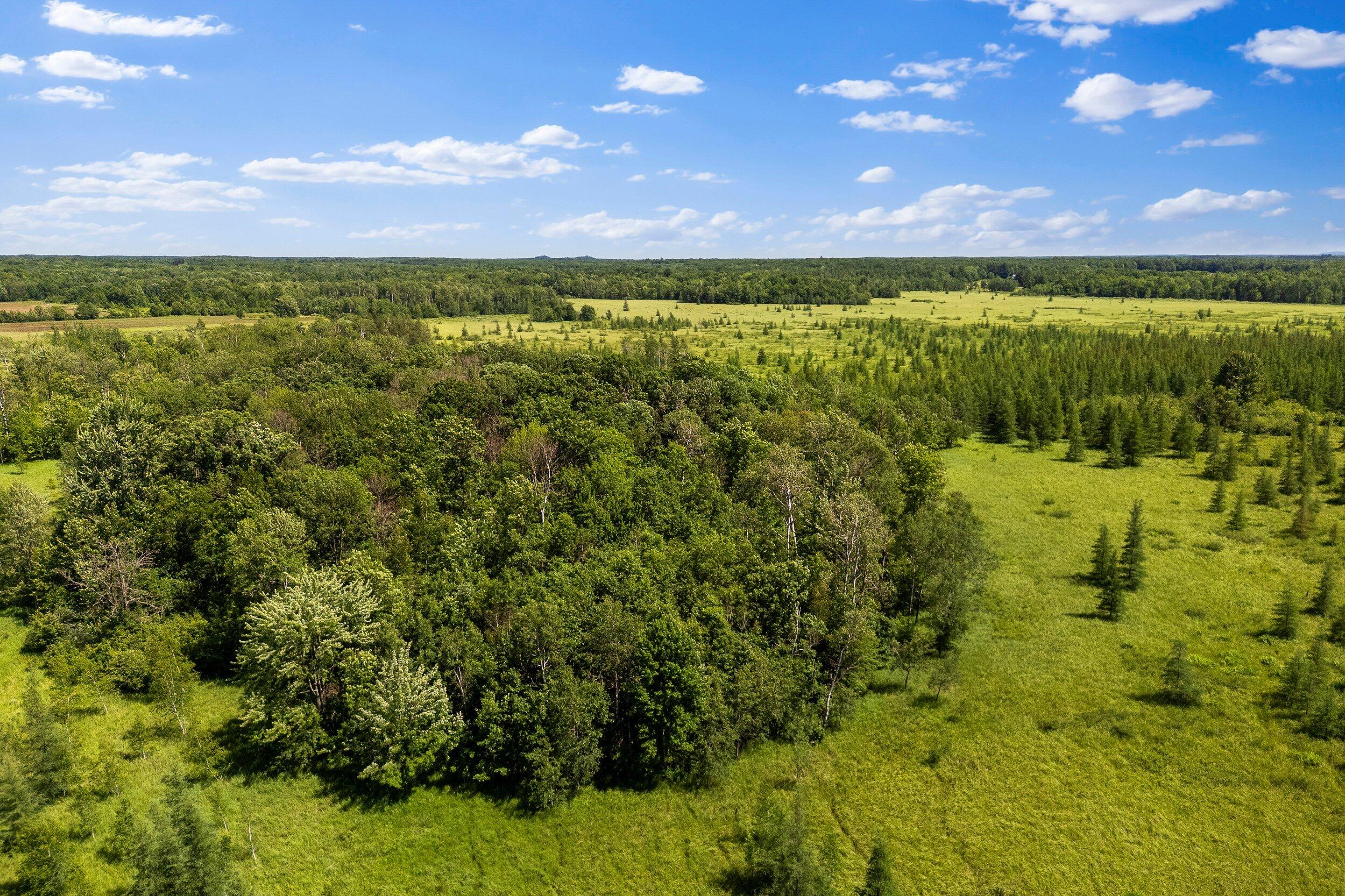 Lt1 Lt1 Robin Avenue Granton, WI 54436 - Photo 12 of 23 Middle Coast-15 (30)