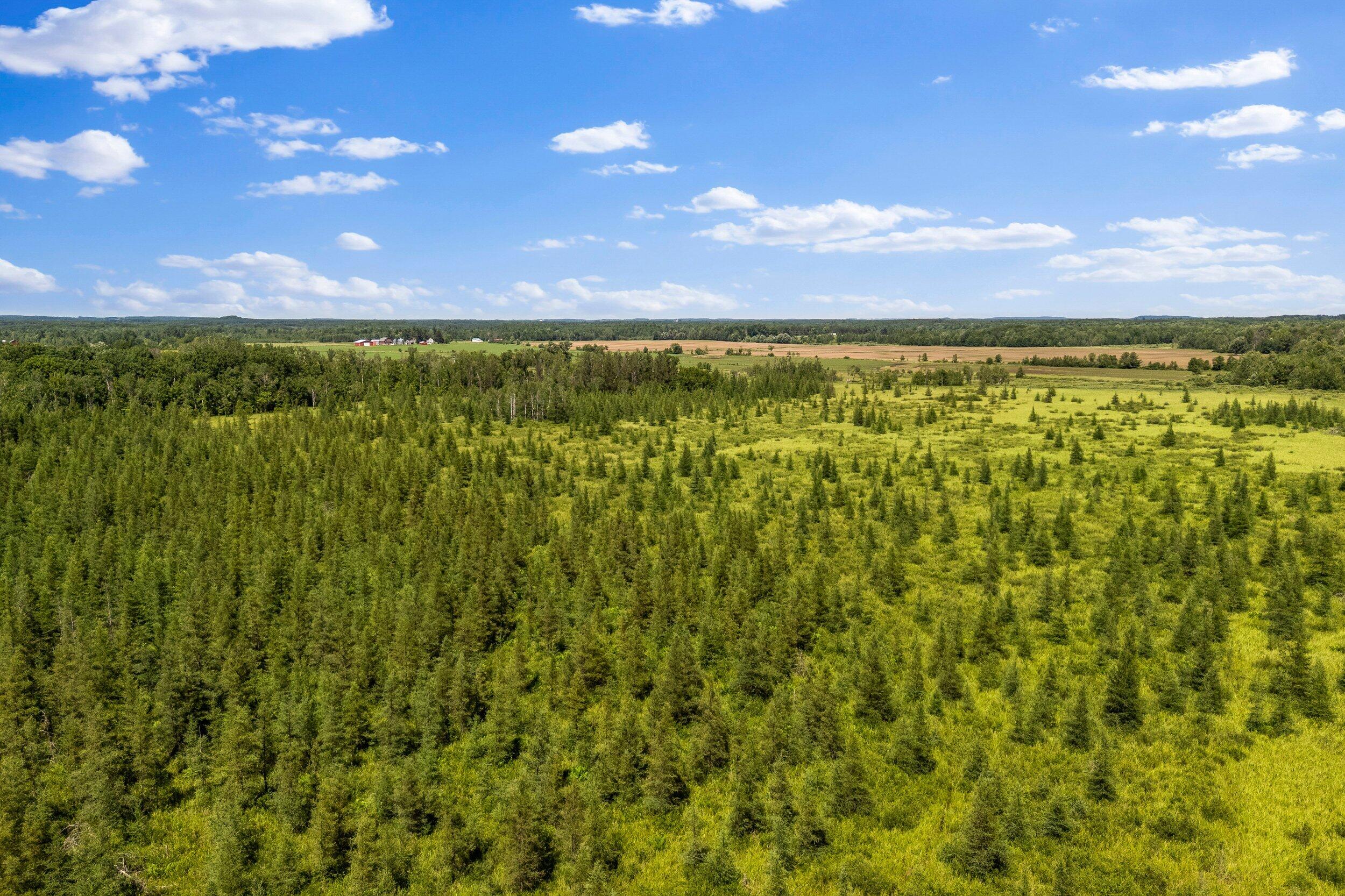 Lt1 Lt1 Robin Avenue Granton, WI 54436 - Photo 13 of 23 Middle Coast-14 (32)