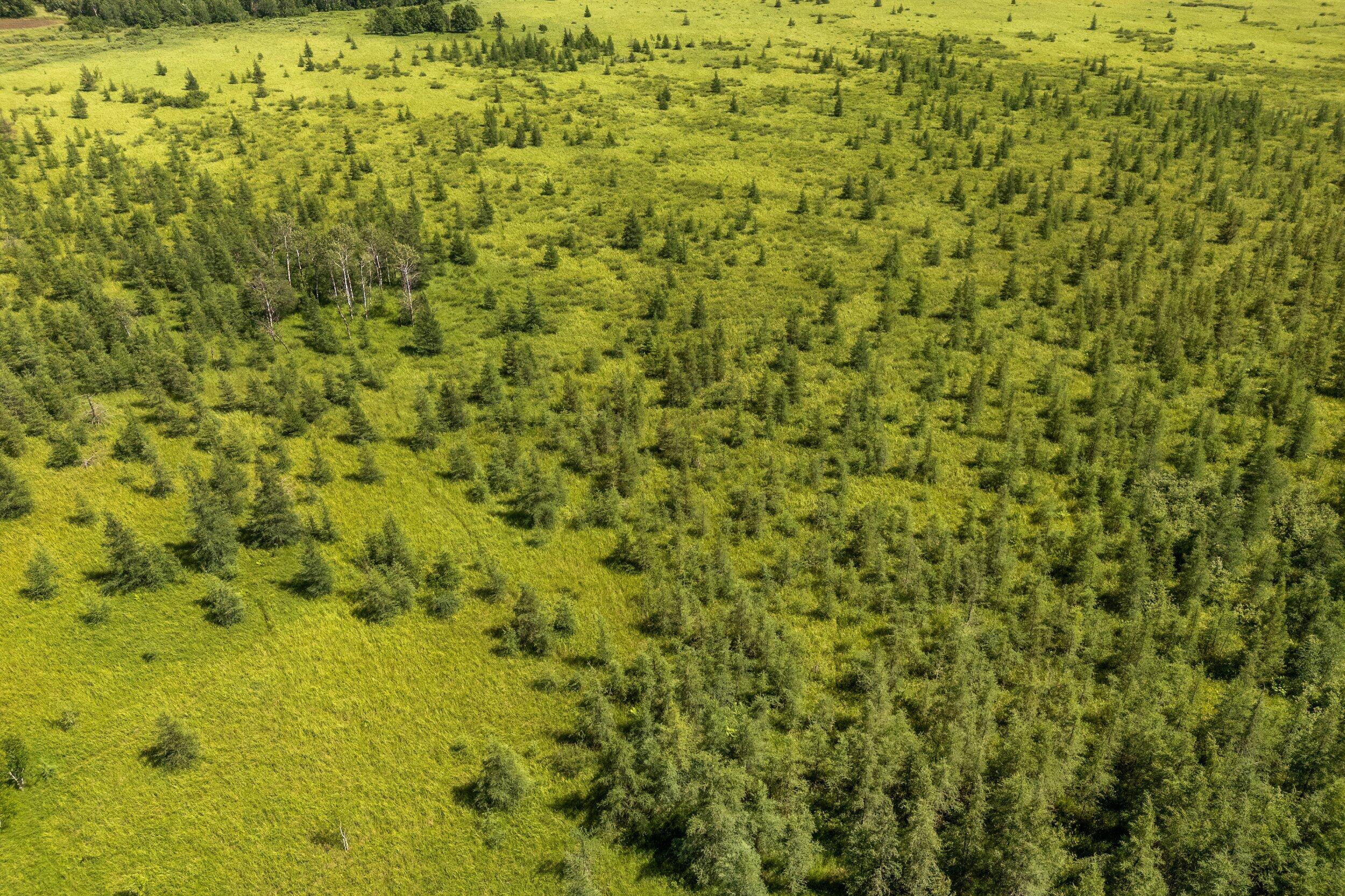 Lt1 Lt1 Robin Avenue Granton, WI 54436 - Photo 14 of 23 Middle Coast-13 (22)