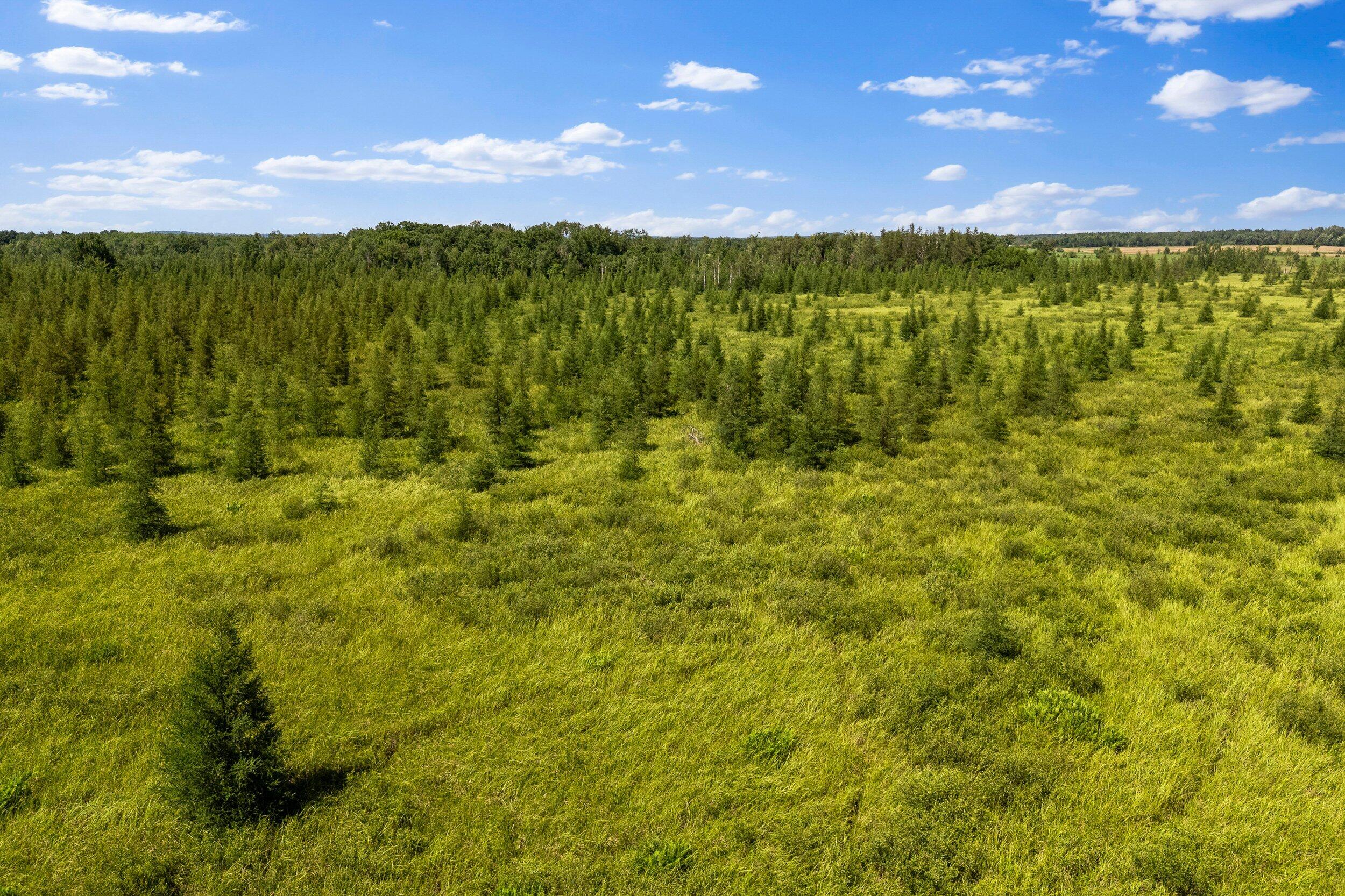 Lt1 Lt1 Robin Avenue Granton, WI 54436 - Photo 16 of 23 Middle Coast-11 (25)