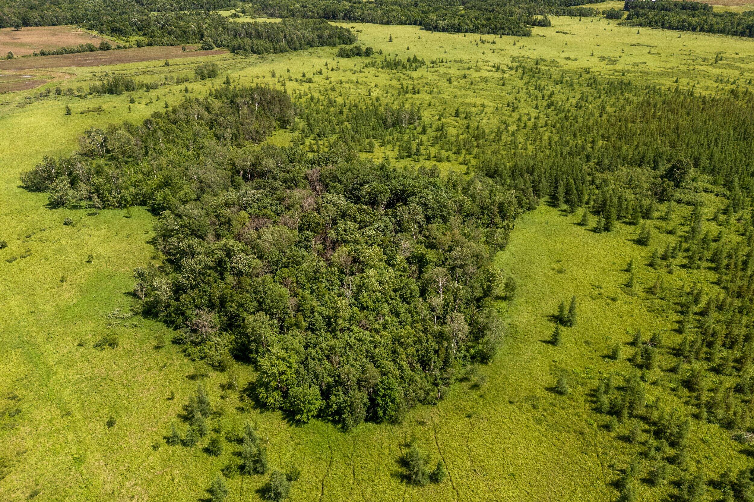 Lt1 Lt1 Robin Avenue Granton, WI 54436 - Photo 17 of 23 Middle Coast-10 (28)