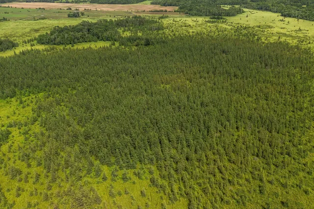 $70,000 | Lt1 Lt1 Robin Avenue, Granton, WI 54436