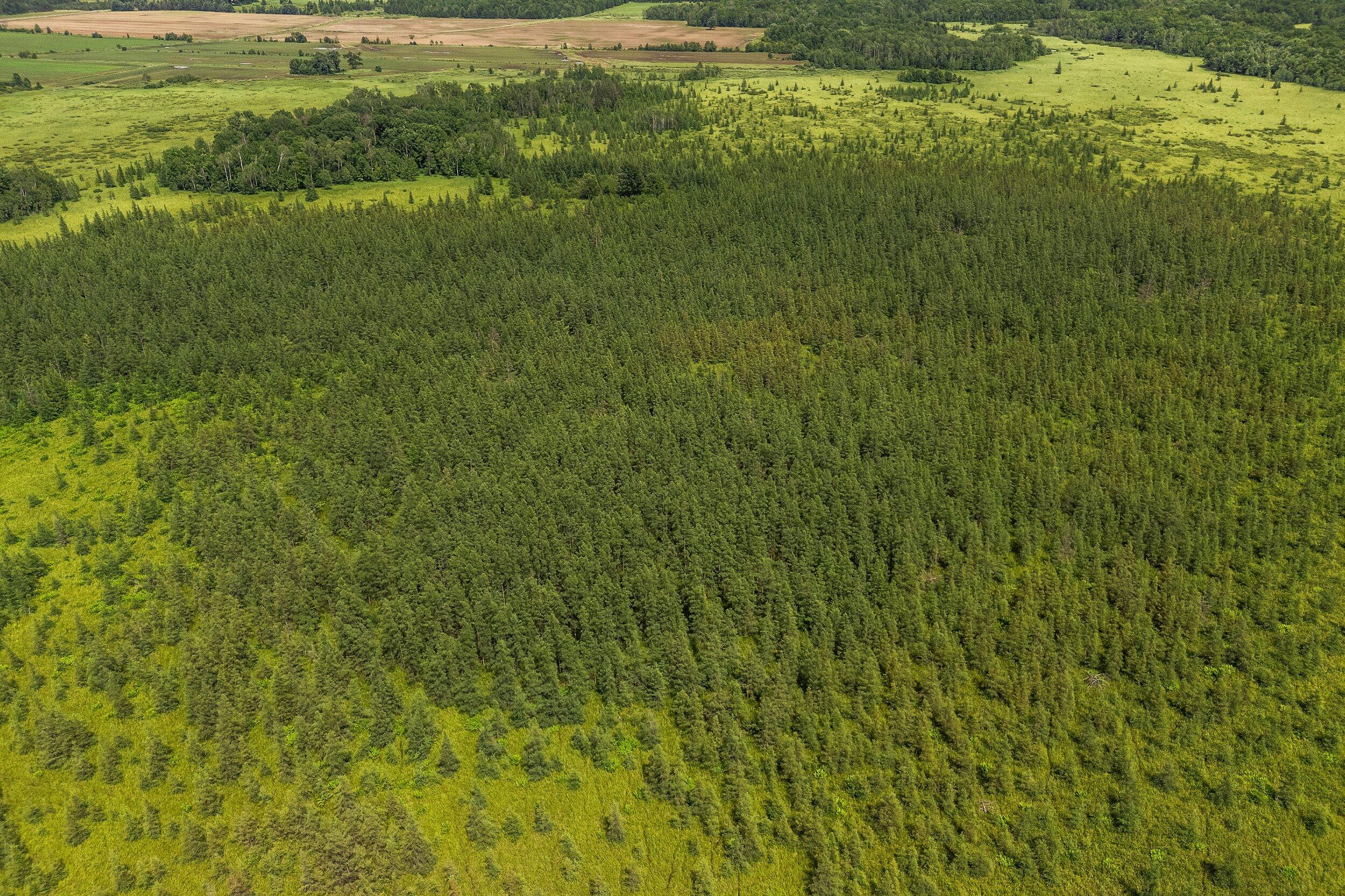 Lt1 Lt1 Robin Avenue Granton, WI 54436 - Photo 18 of 23 Middle Coast-9 (36)