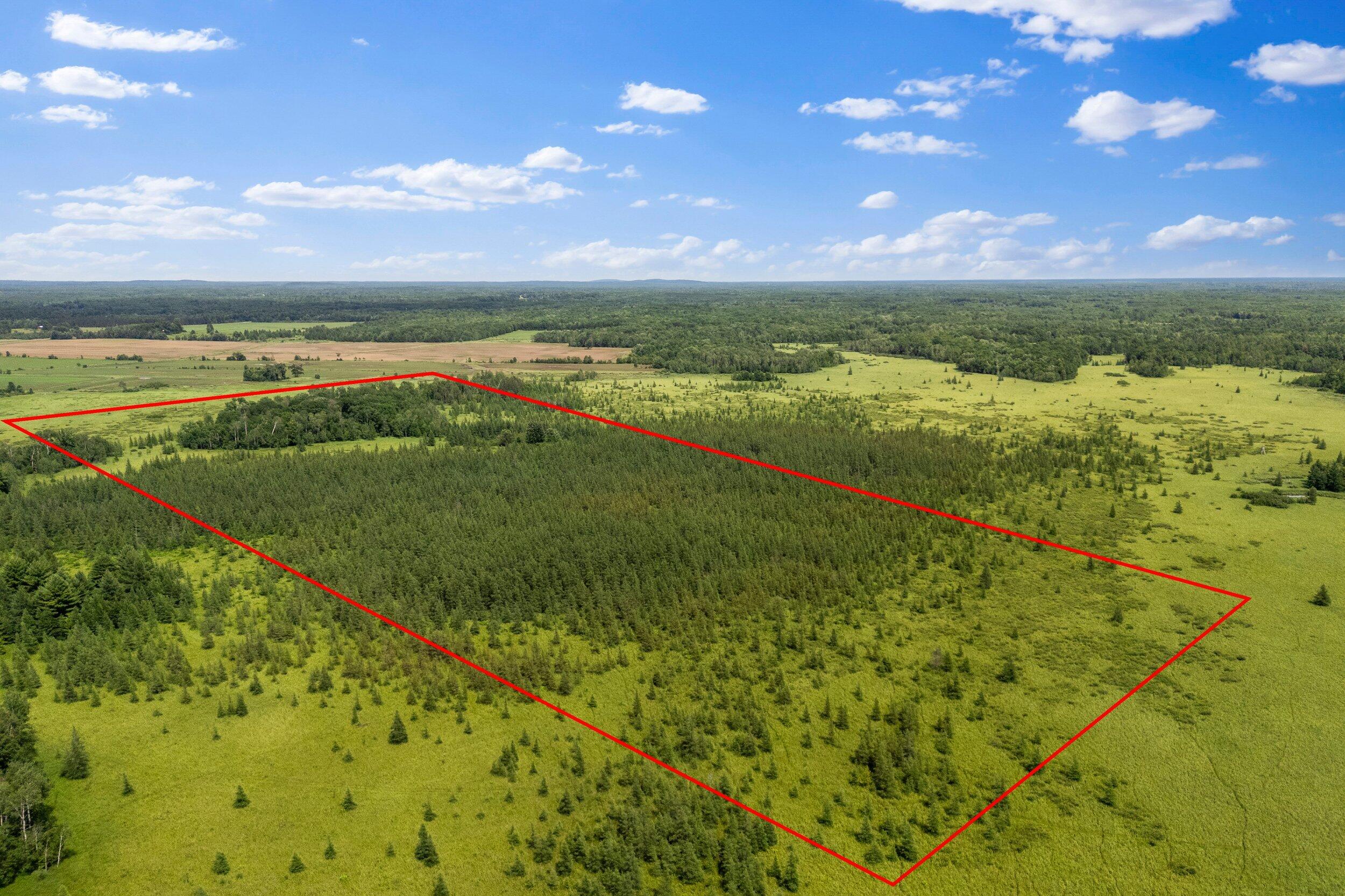 Lt1 Lt1 Robin Avenue Granton, WI 54436 - Photo 3 of 23 Middle Coast-1 (39)