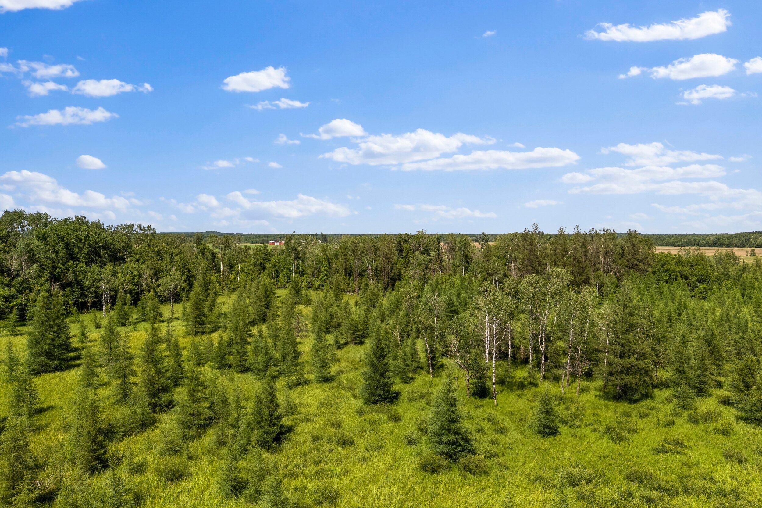 Lt1 Lt1 Robin Avenue Granton, WI 54436 - Photo 4 of 23 Middle Coast-23 (23)