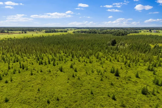 $70,000 | Lt1 Lt1 Robin Avenue, Granton, WI 54436