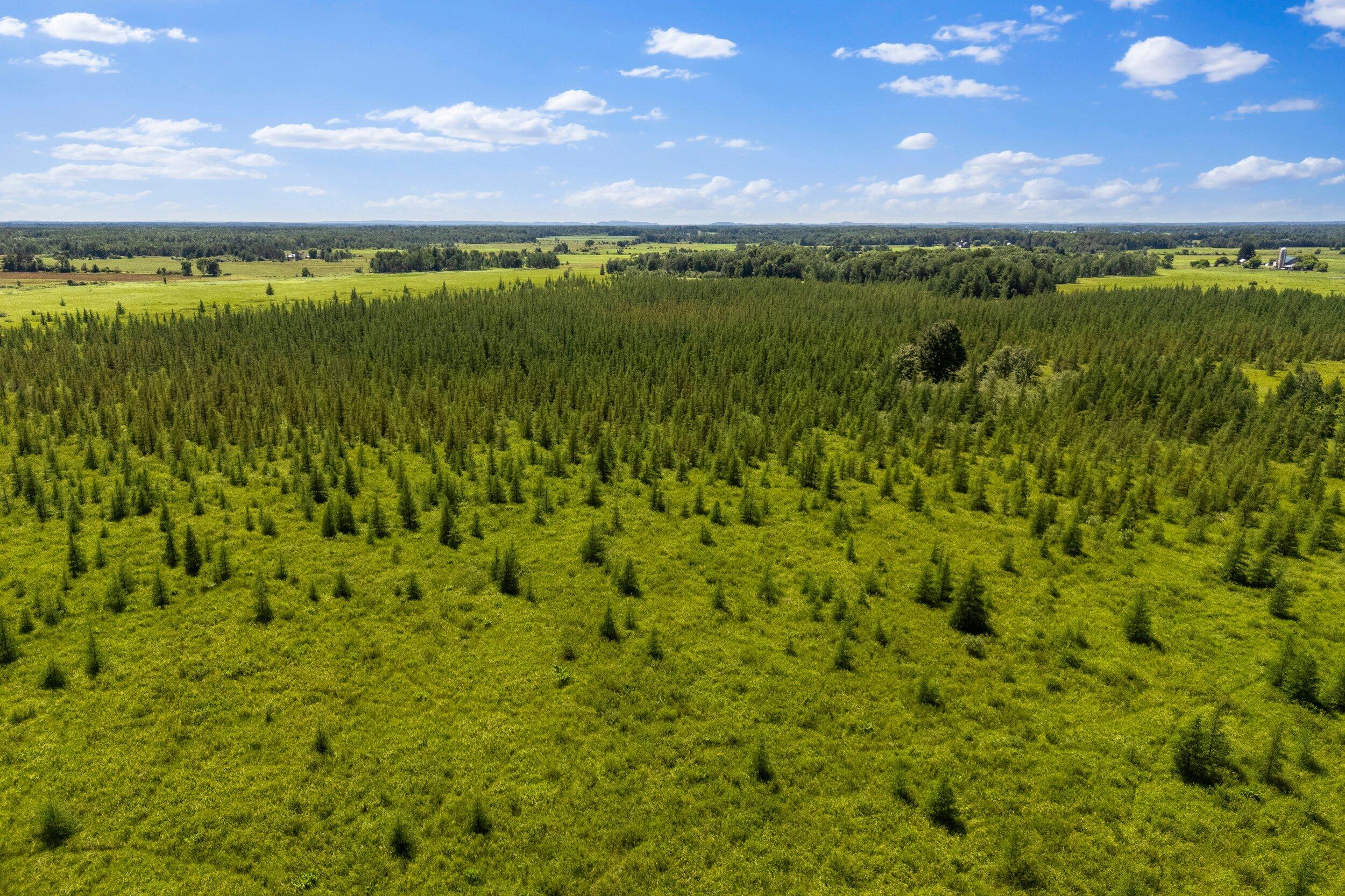 Lt1 Lt1 Robin Avenue Granton, WI 54436 - Photo 5 of 23 Middle Coast-22 (21)