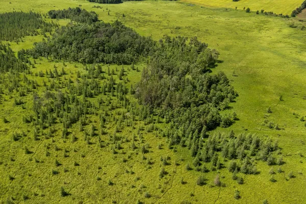 $70,000 | Lt1 Lt1 Robin Avenue, Granton, WI 54436