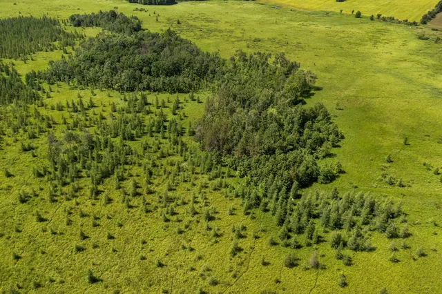 $70,000 | Lt1 Lt1 Robin Avenue, Granton, WI 54436