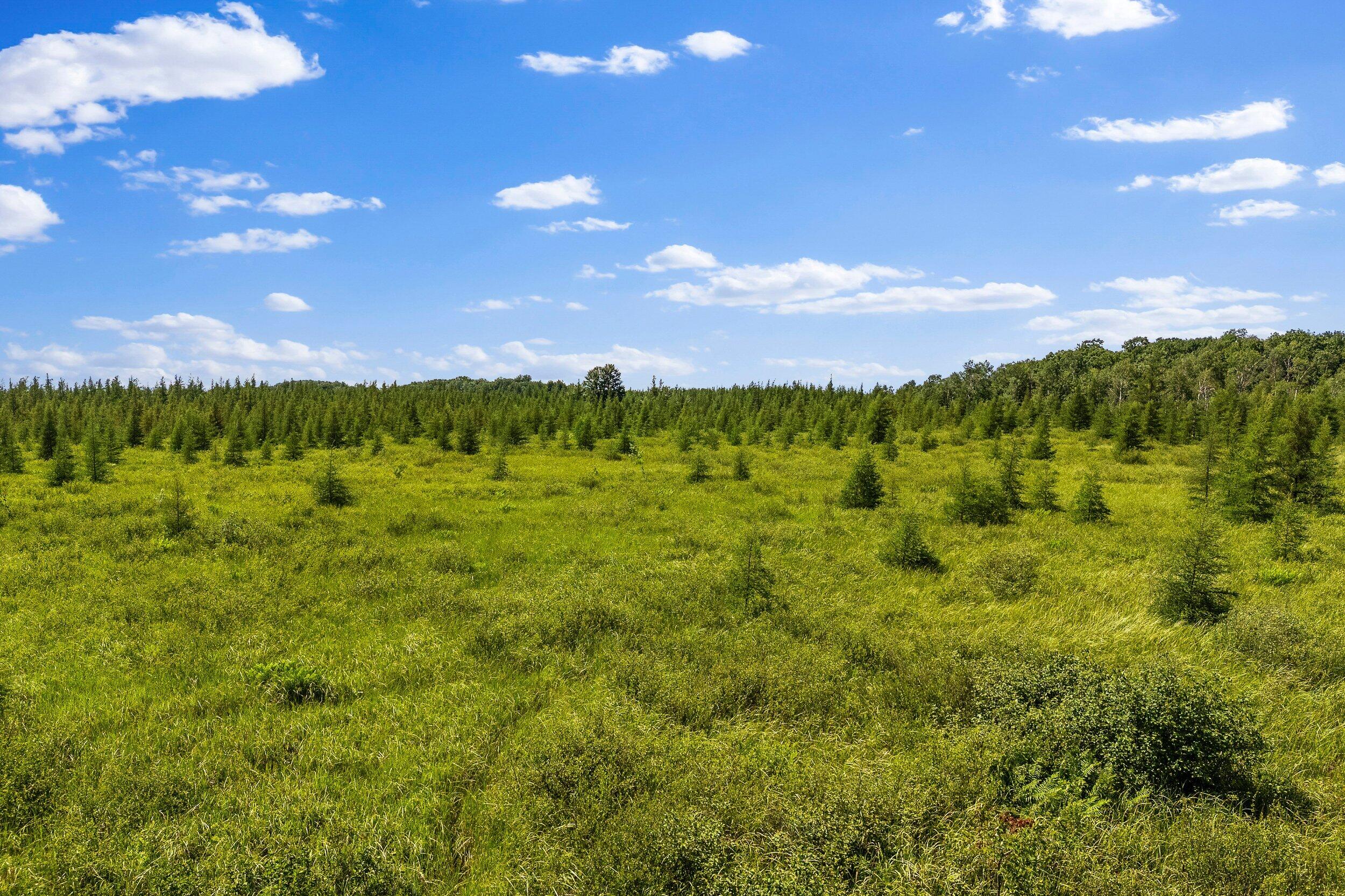 Lt1 Lt1 Robin Avenue Granton, WI 54436 - Photo 7 of 23 Middle Coast-20 (21)