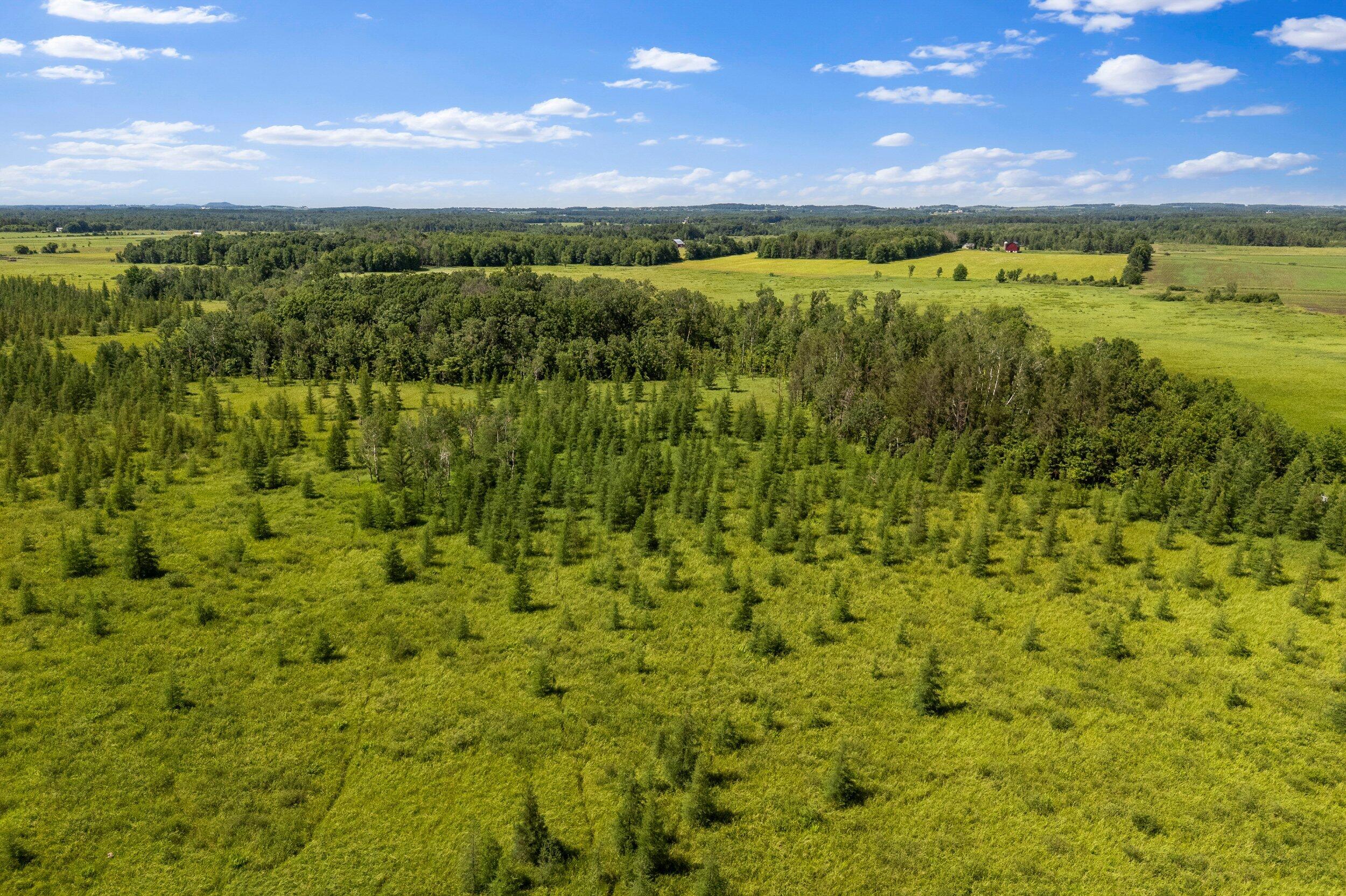 Lt1 Lt1 Robin Avenue Granton, WI 54436 - Photo 8 of 23 Middle Coast-19 (24)