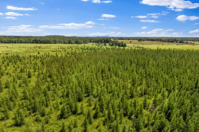 $70,000 | Lt1 Lt1 Robin Avenue, Granton, WI 54436