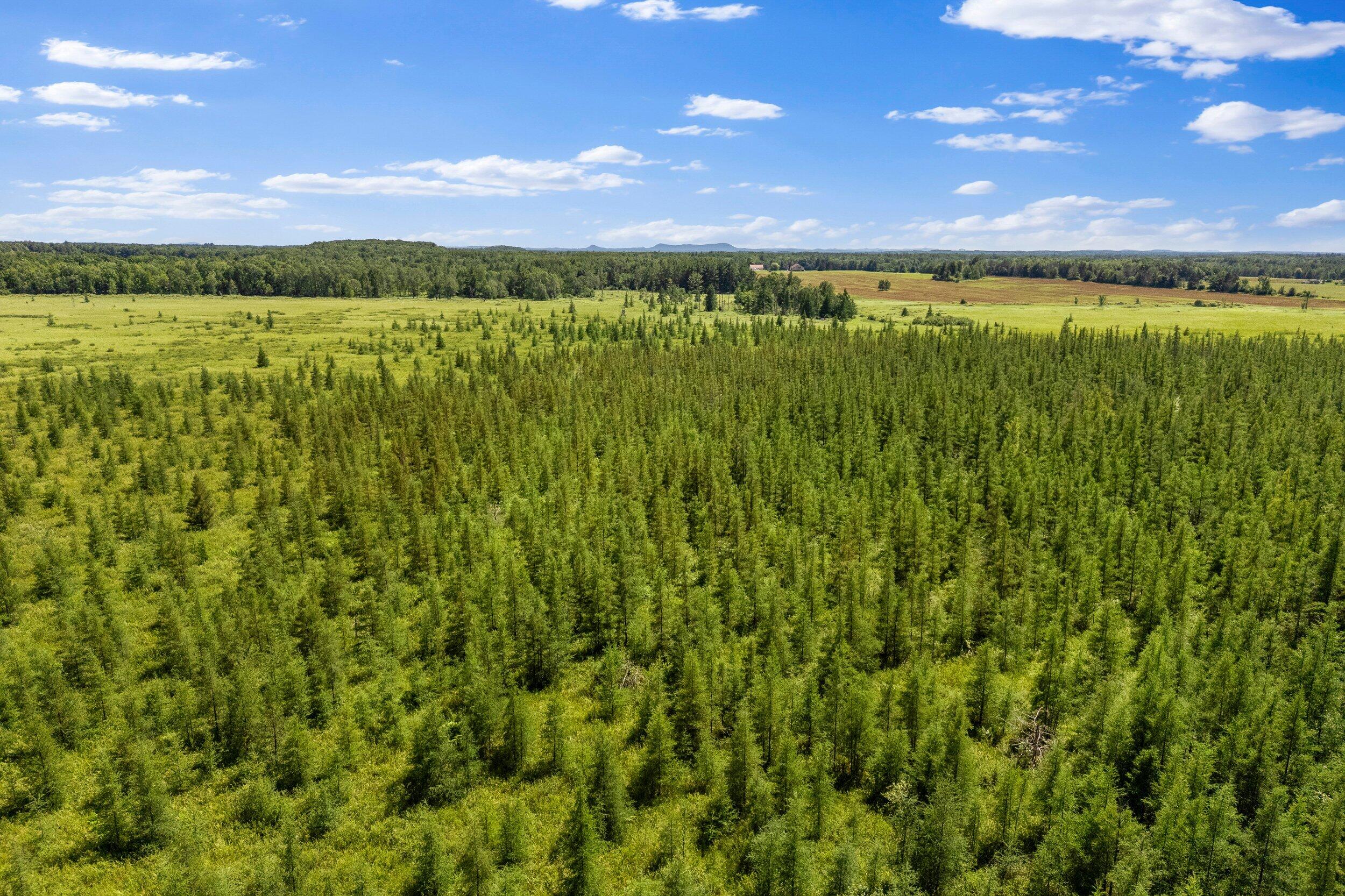 Lt1 Lt1 Robin Avenue Granton, WI 54436 - Photo 9 of 23 Middle Coast-18 (18)