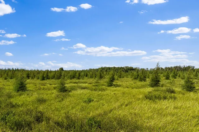 $70,000 | Lt1 Lt1 Robin Avenue, Granton, WI 54436