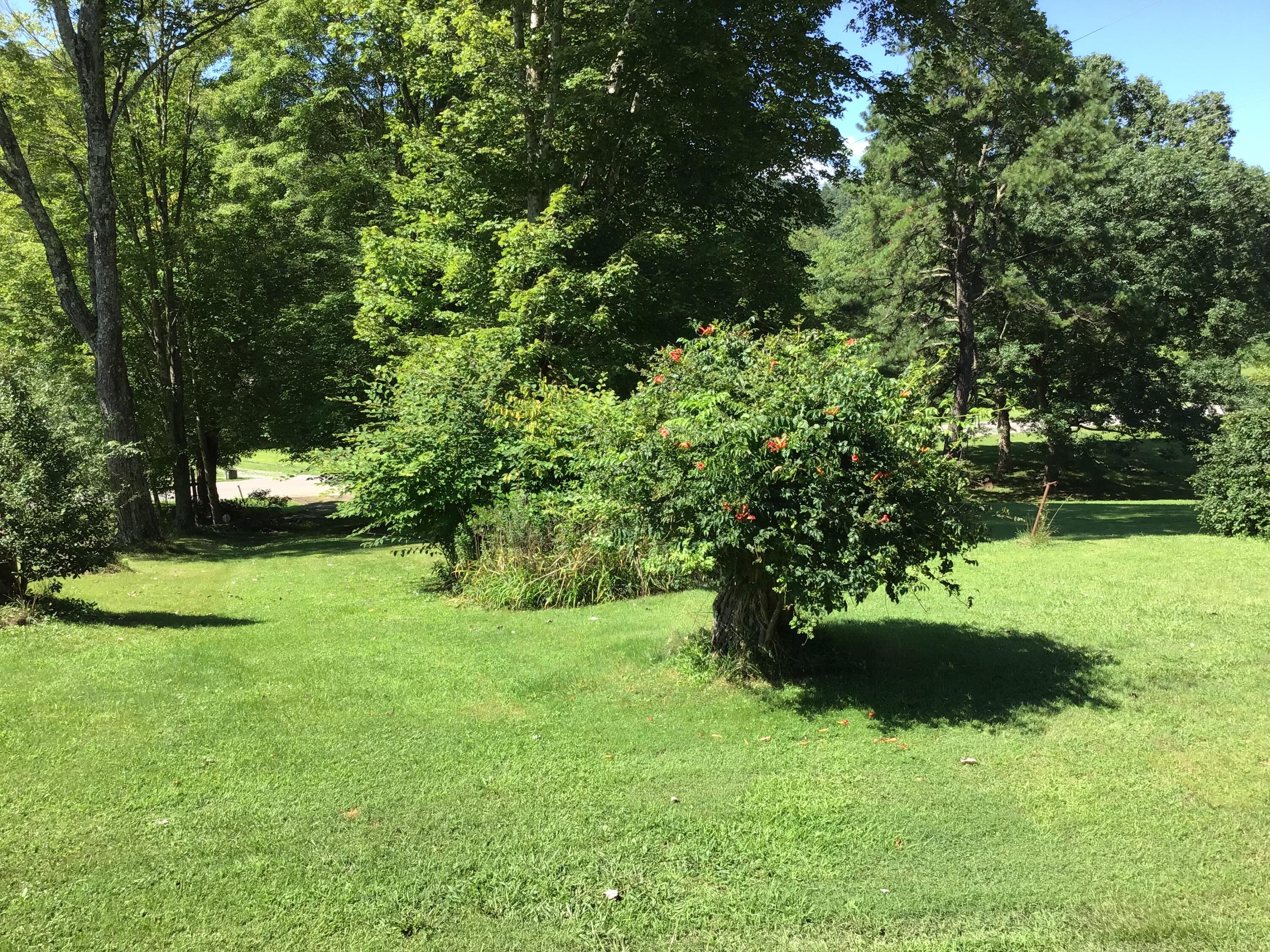 5303 Flat Gap Road Pound, VA 24279 - Photo 26 of 32 *