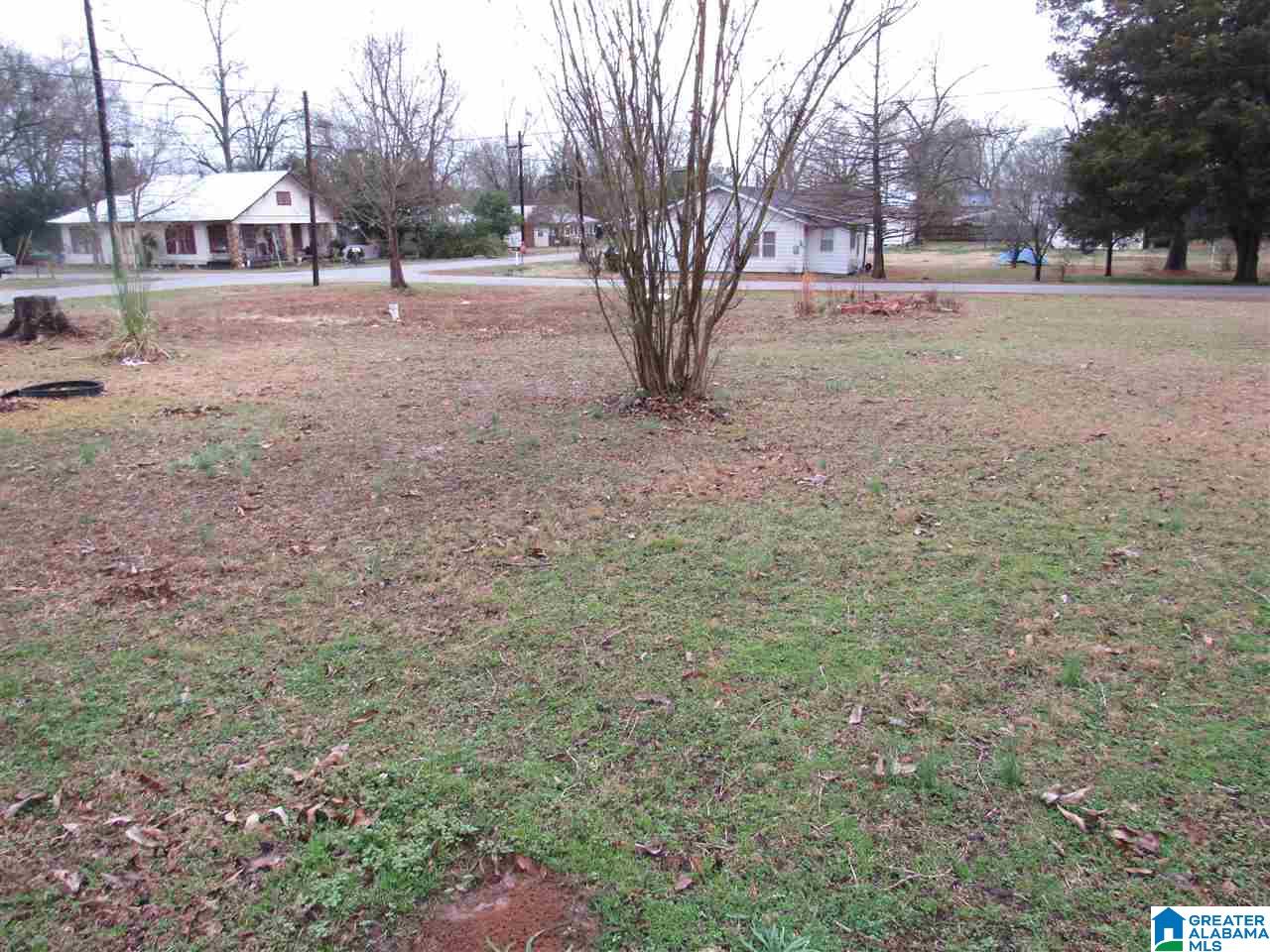 104 3rd Avenue South Clanton, AL 35045 - Photo 38 of 38