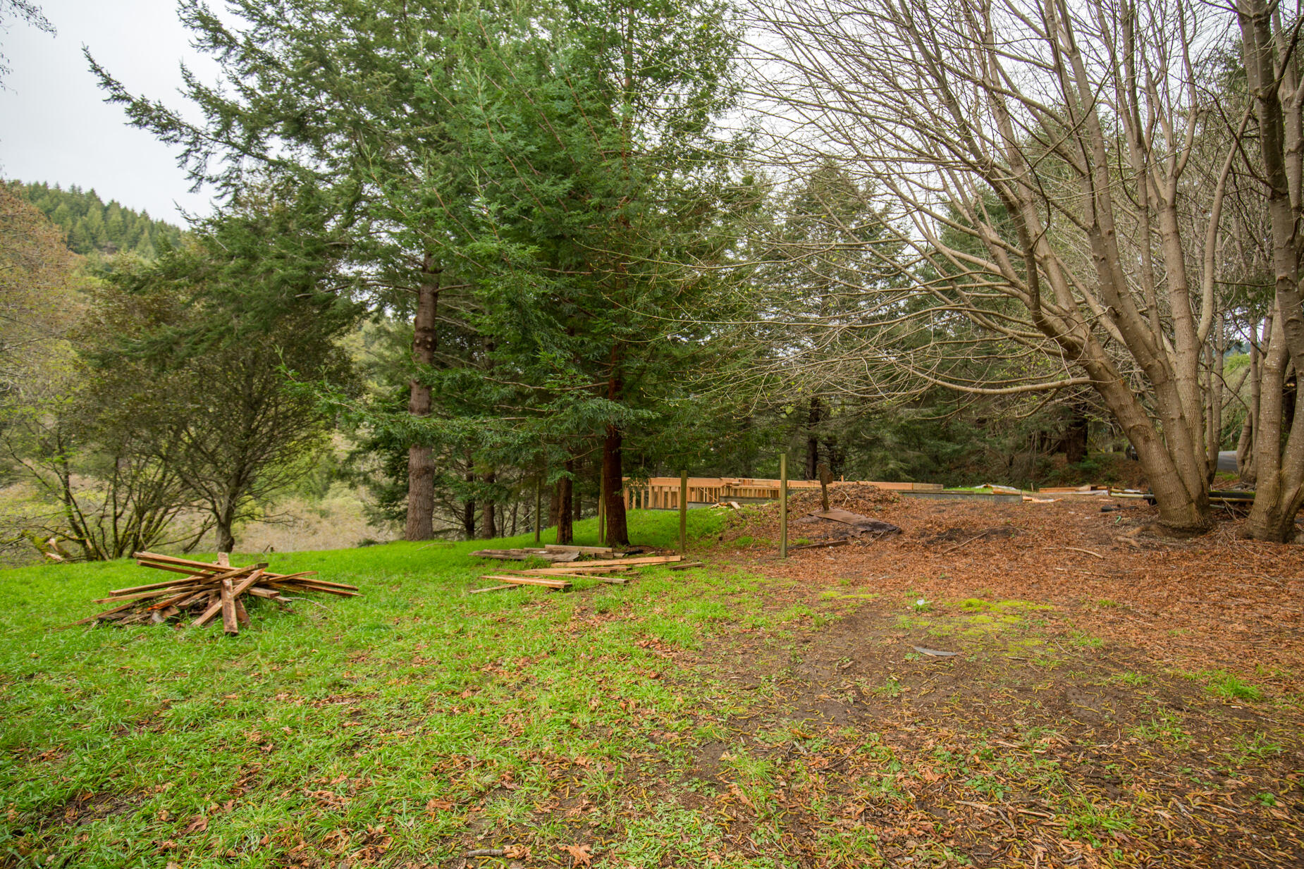 515 Beach Road Shelter Cove, CA 95589 - Photo 29 of 31