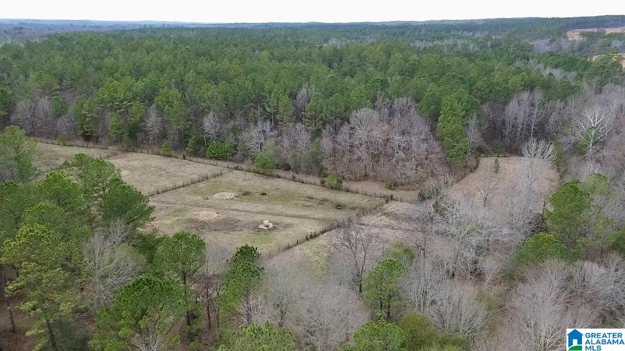 576 Gunlock Street Montevallo, AL 35115 - Photo 5 of 76