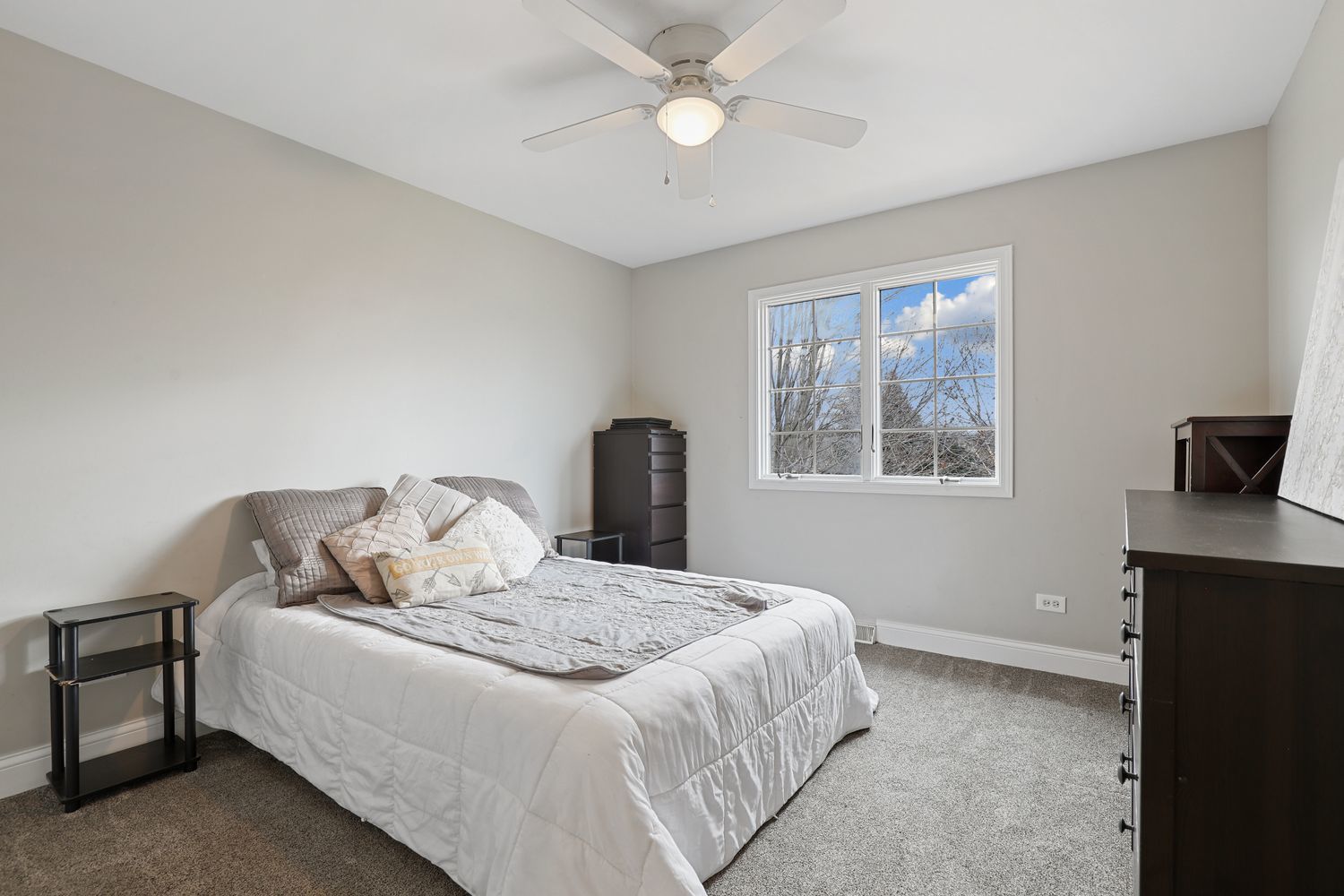 22507 Bass Lake Road Plainfield, IL 60544 - Photo 17 of 26 Gallery Image 17