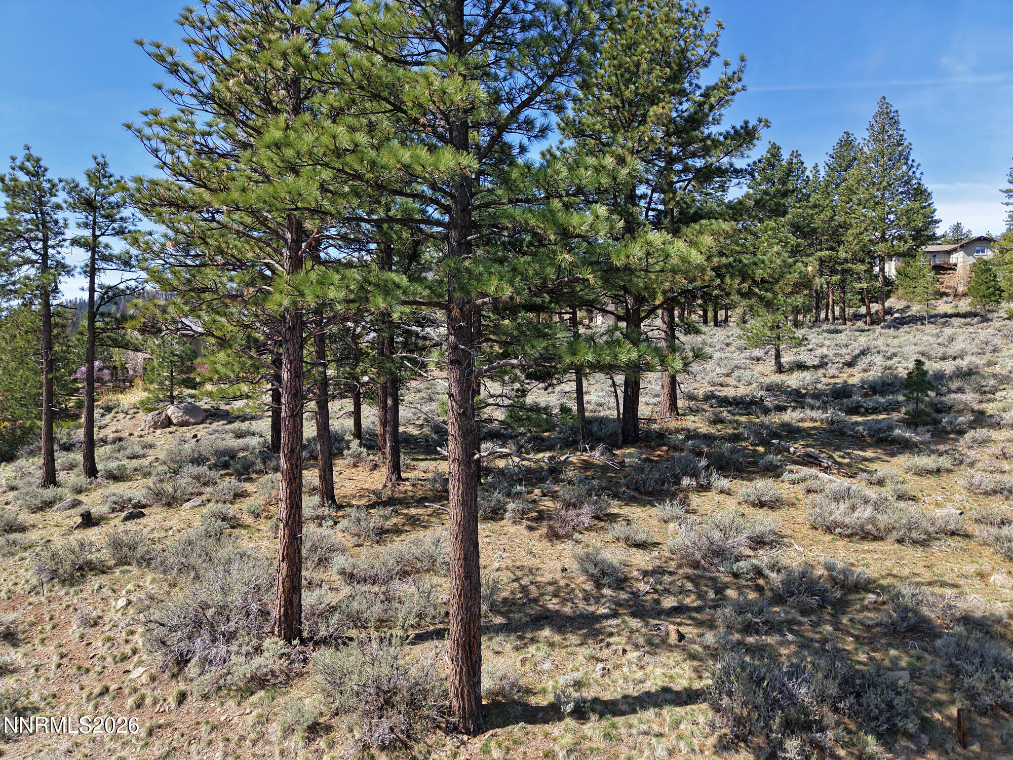 490 Mt Mahogany Court Reno, NV 89511 - Photo 4 of 14 03