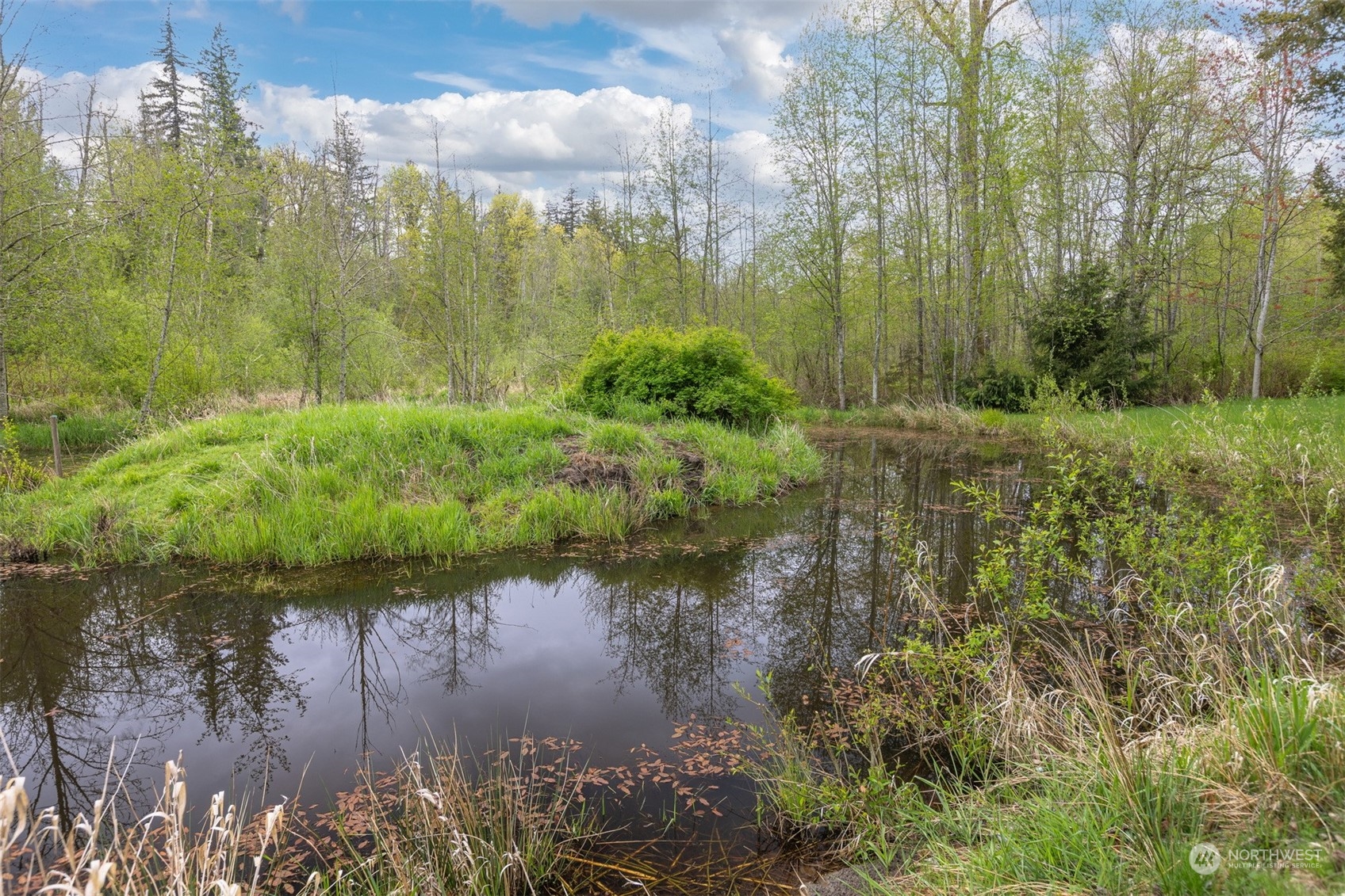 1815 High Noon Road Bellingham, WA 98226 - Photo 36 of 40 a view of lake