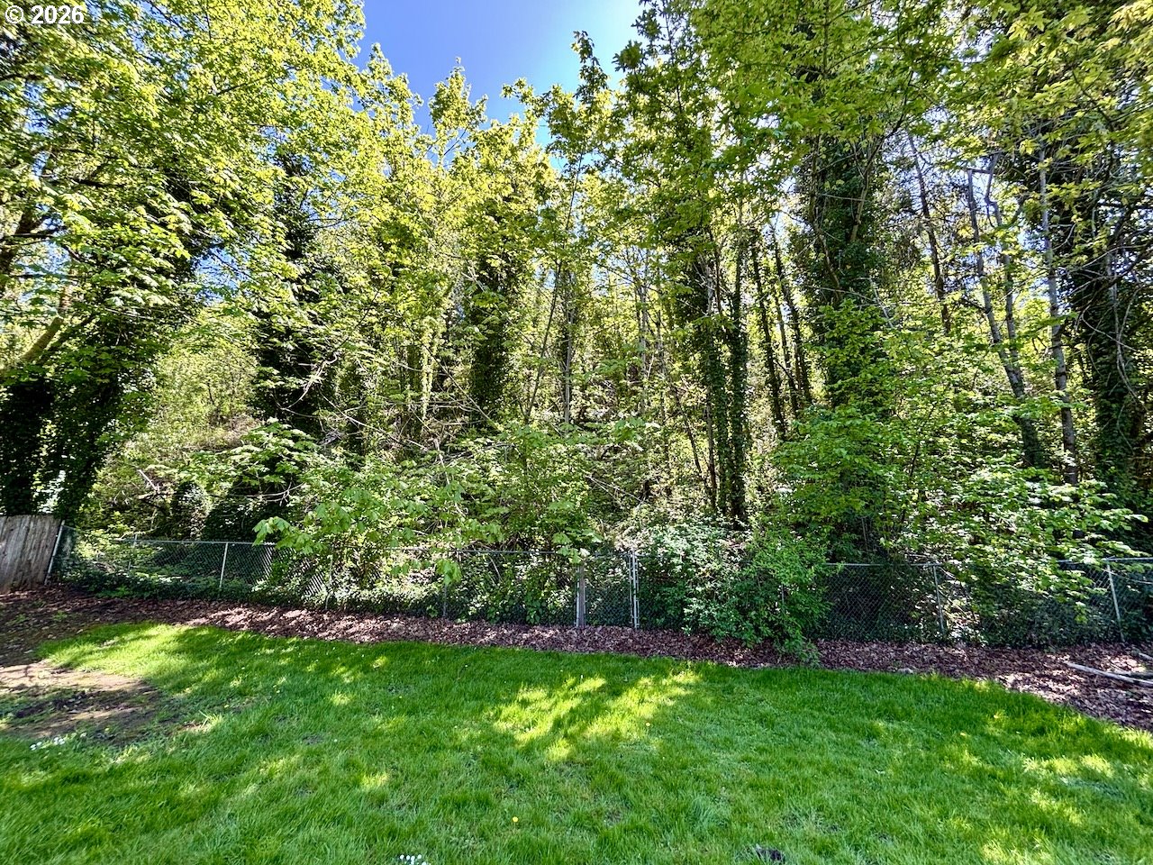 38684 Natures Garden Street Springfield, OR 97478 - Photo 26 of 26 a view of yard with green space