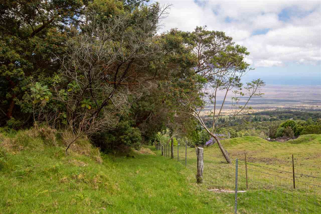 Cross Road Kula, HI 96790 - Photo 11 of 16 a view of yard with an trees