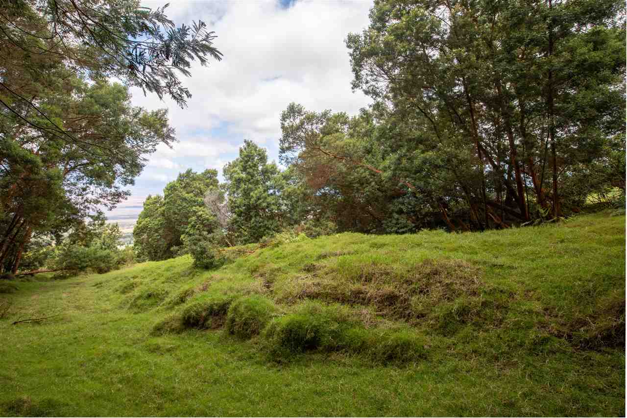 Cross Road Kula, HI 96790 - Photo 7 of 16 a view of outdoor space and yard