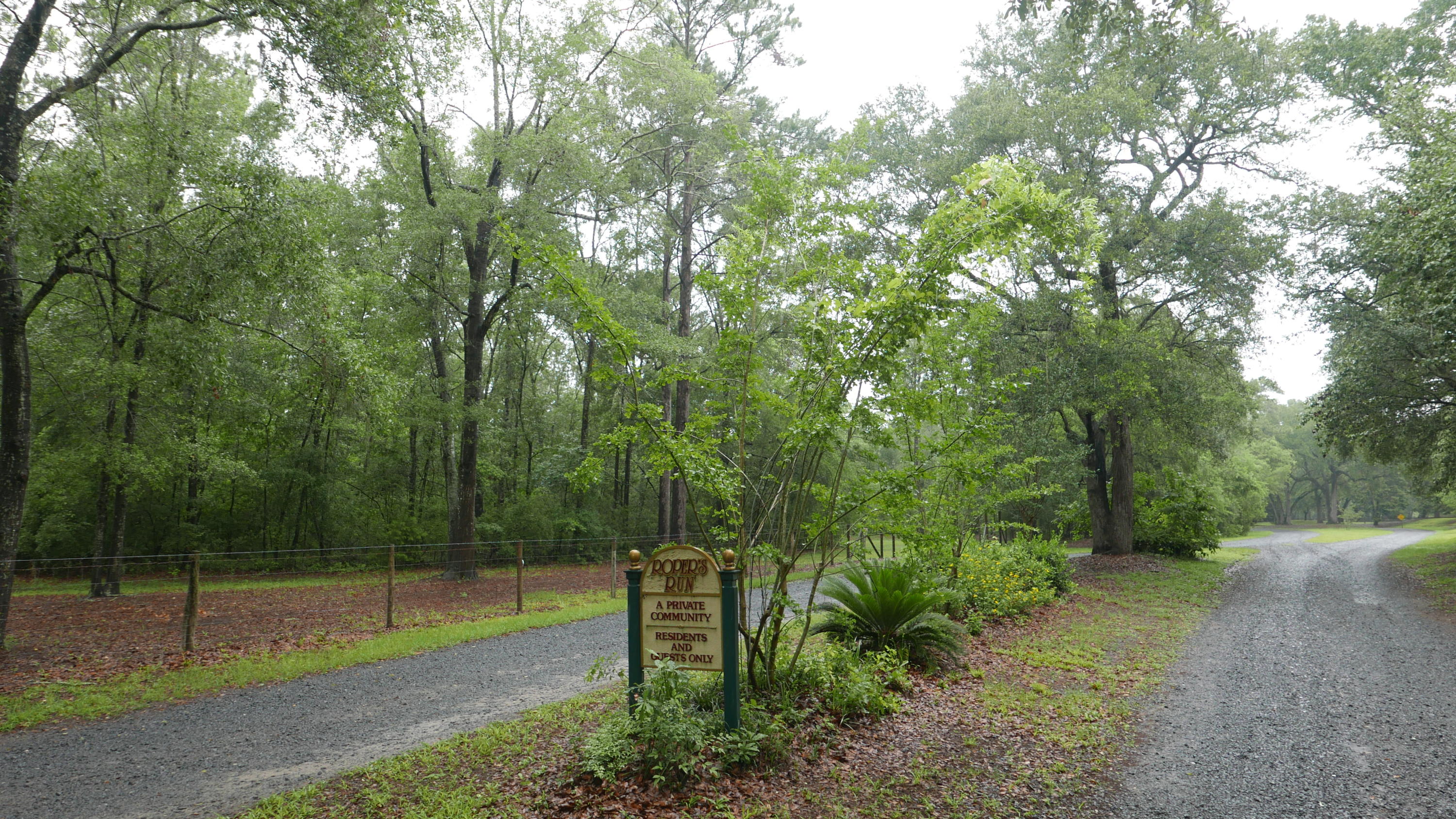 0 Kelsey's Mill Road Ravenel, SC 29470 - Photo 2 of 19 P1230478