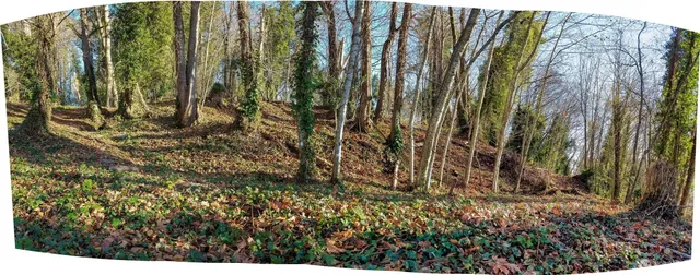 a view of outdoor space with a garden